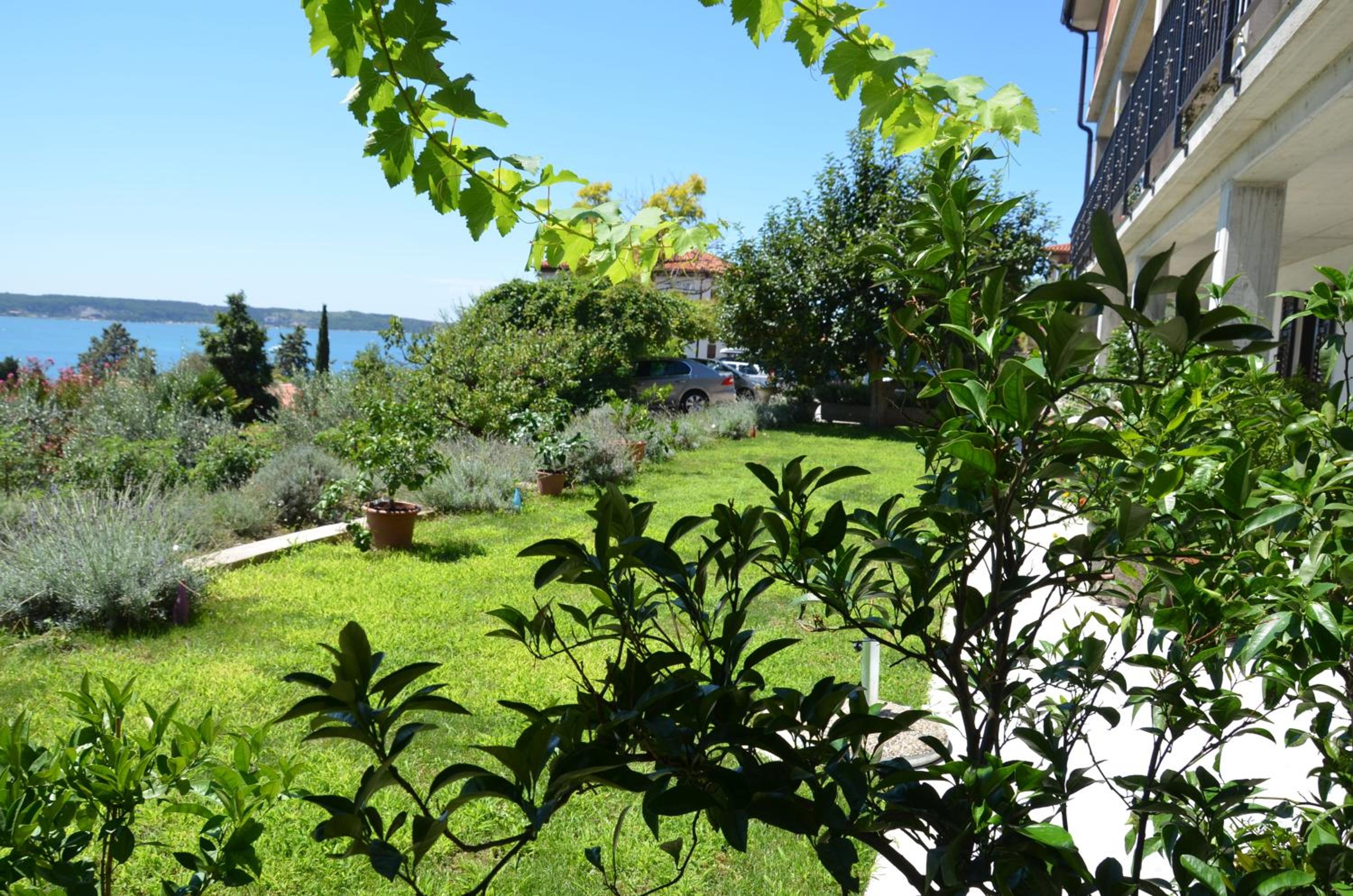 Apartments Ostanek view 3