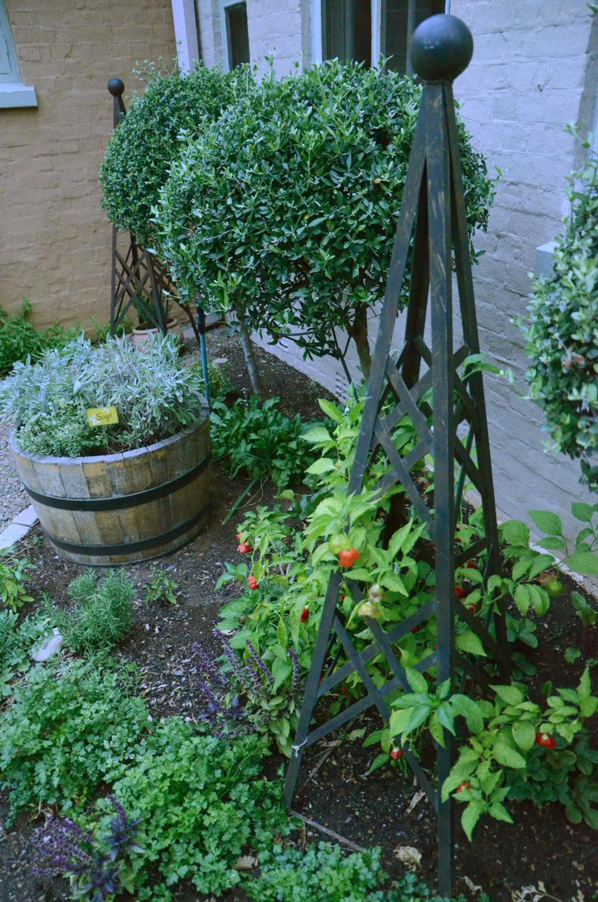 Oleander Guest House