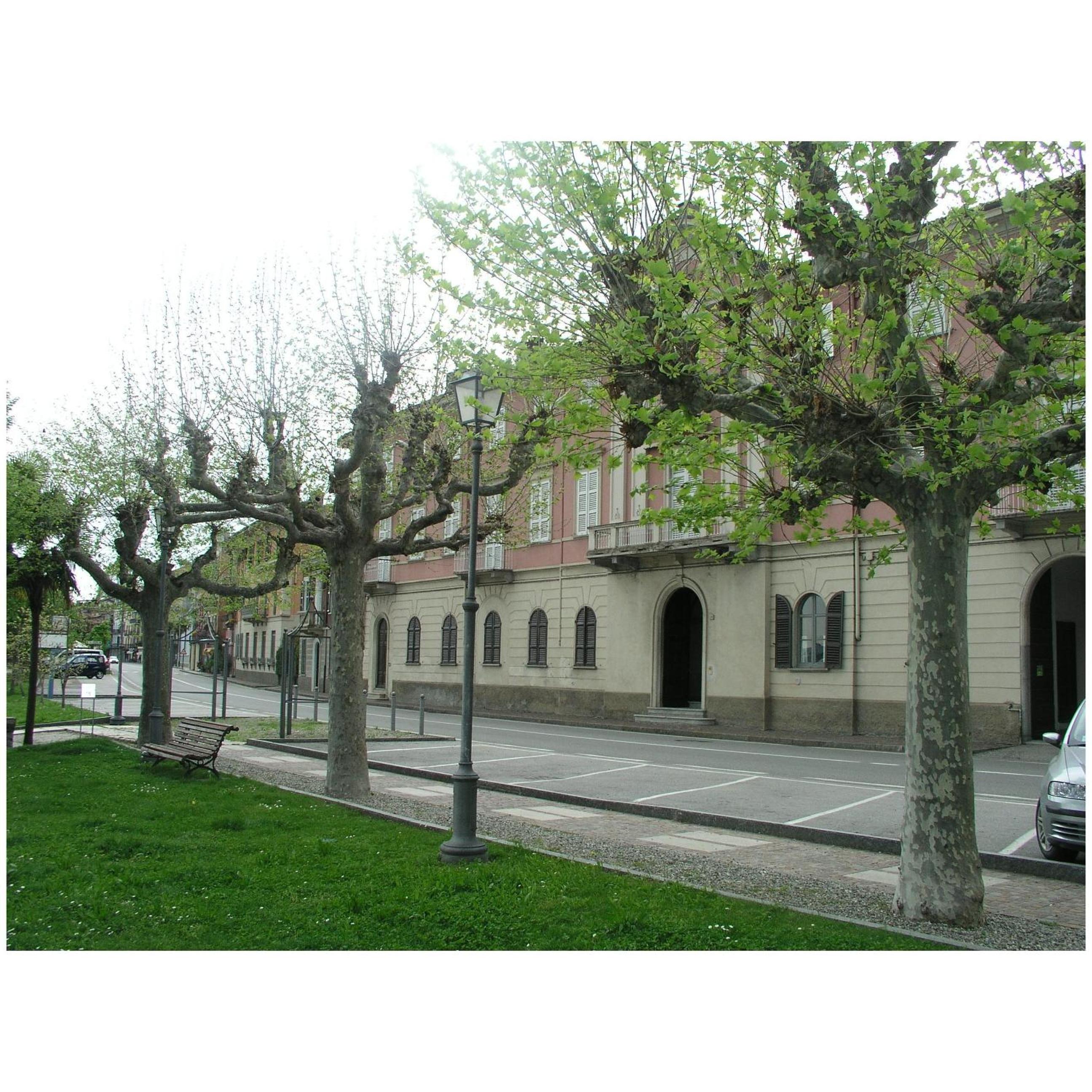 Photo 29