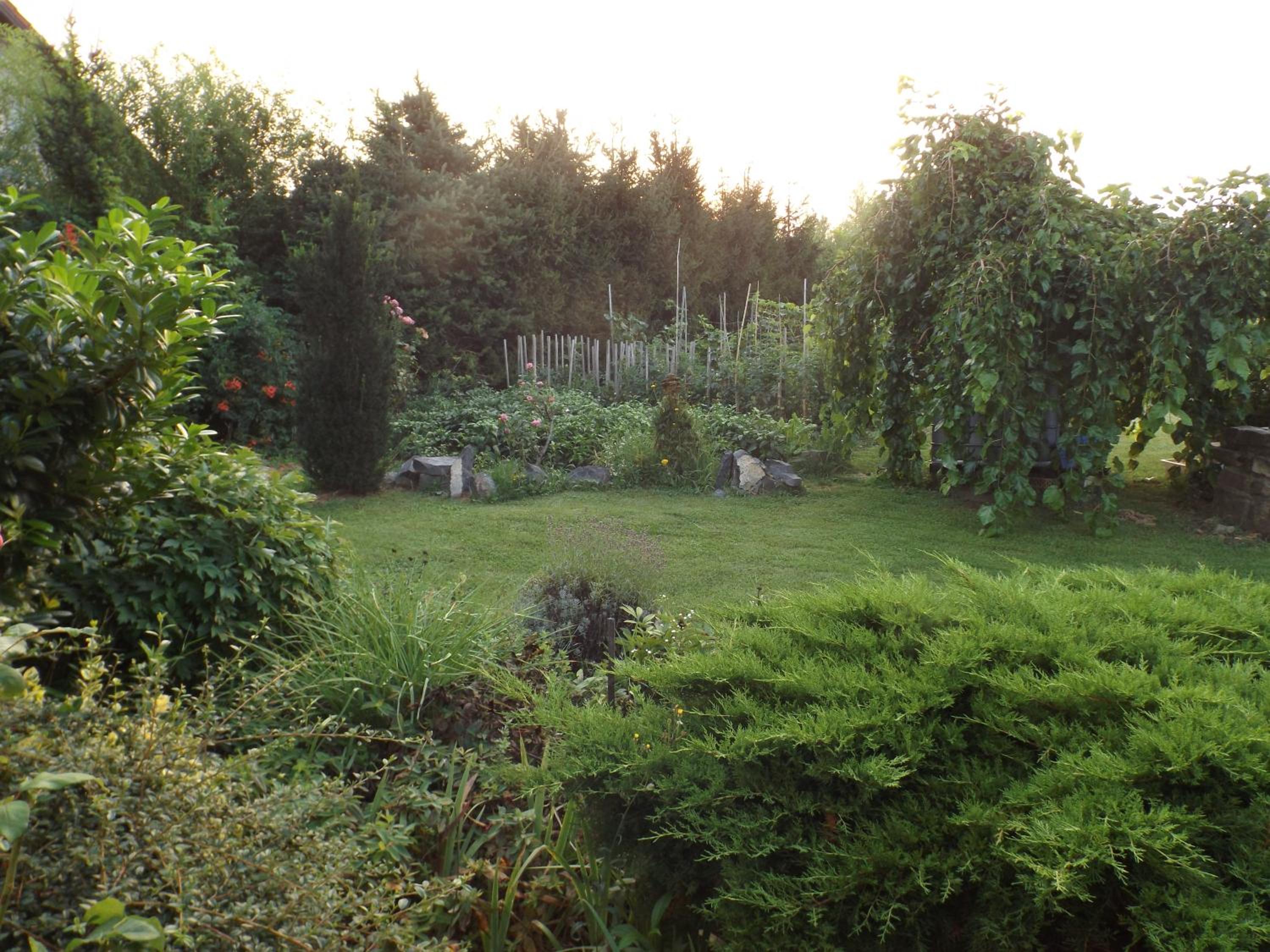 Photo 54