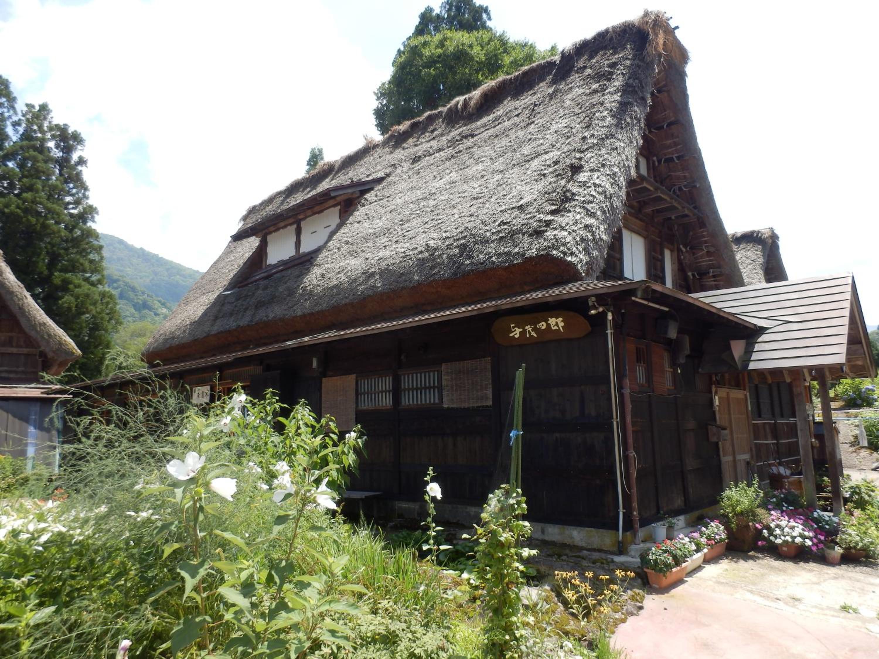 Photo 12