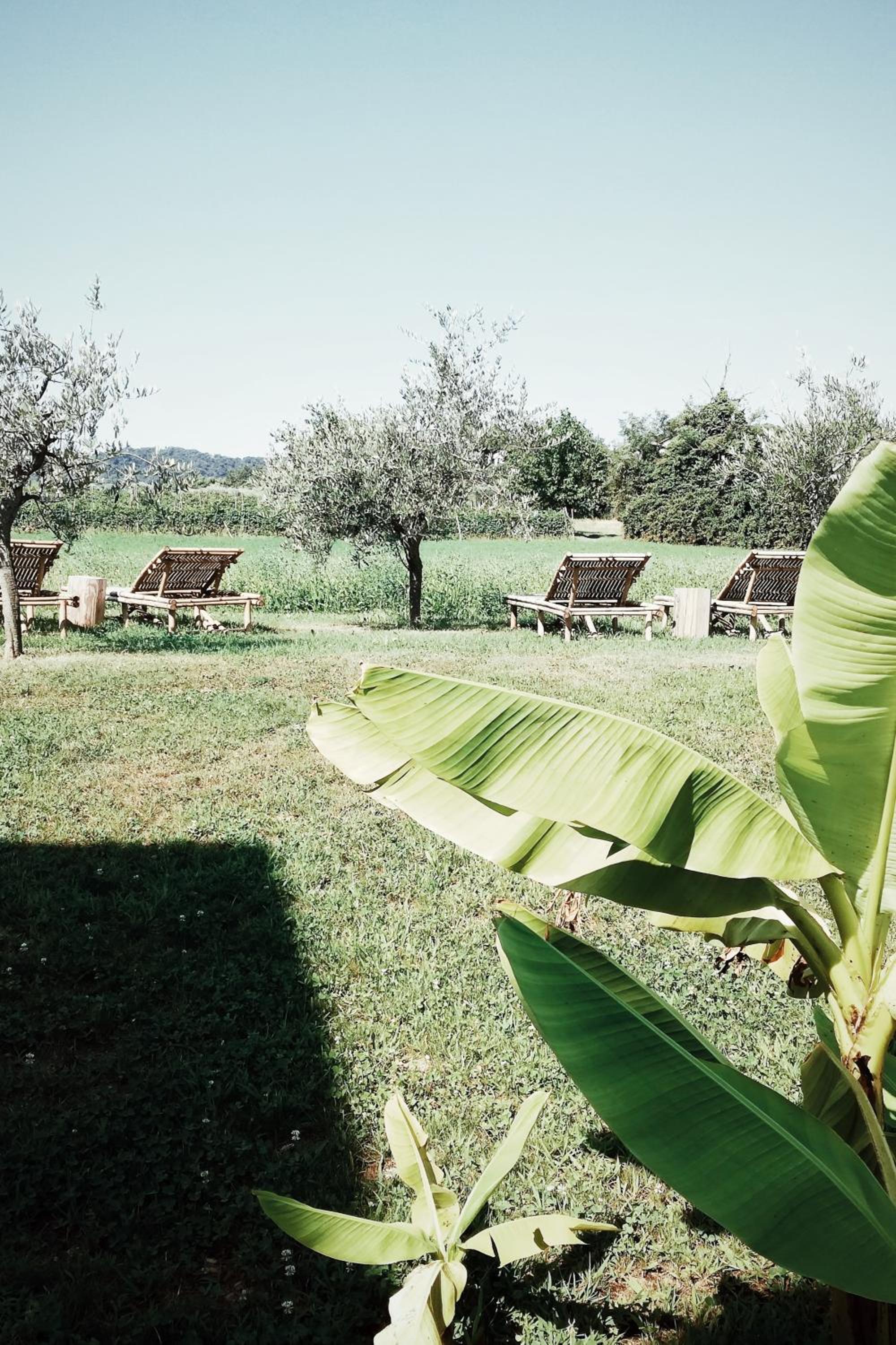 Bed & Breakfast IL PAJO view 4