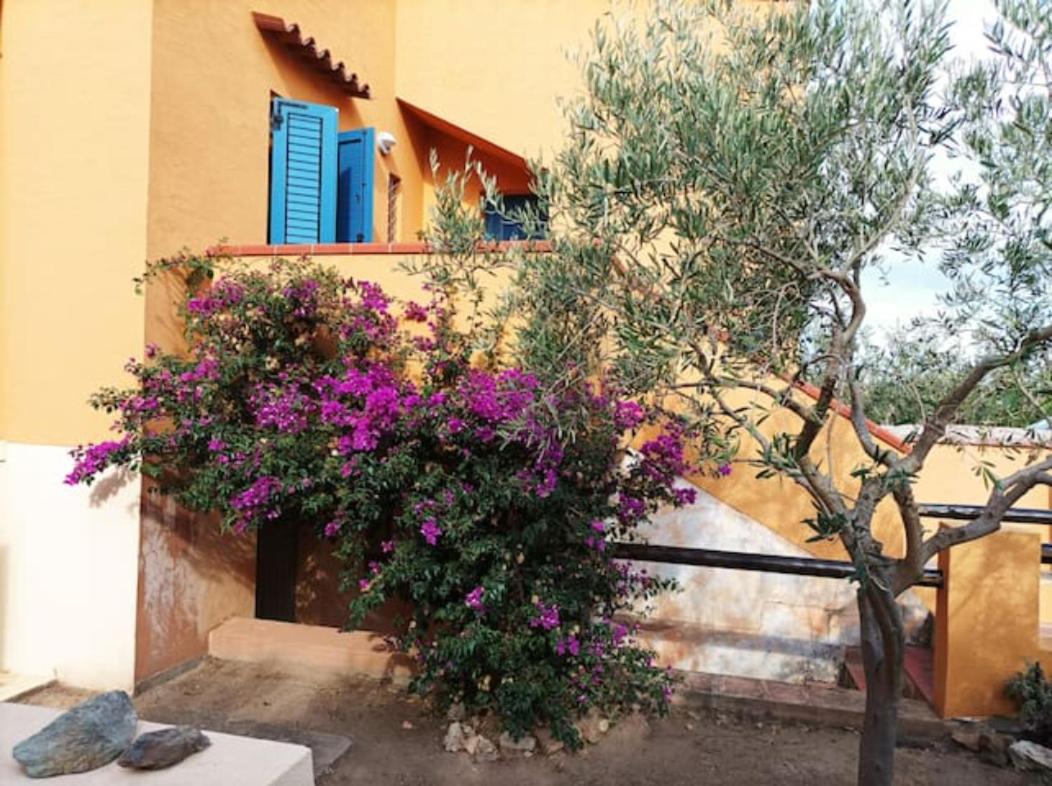 casa dalle 4 grandi terrazze view 4