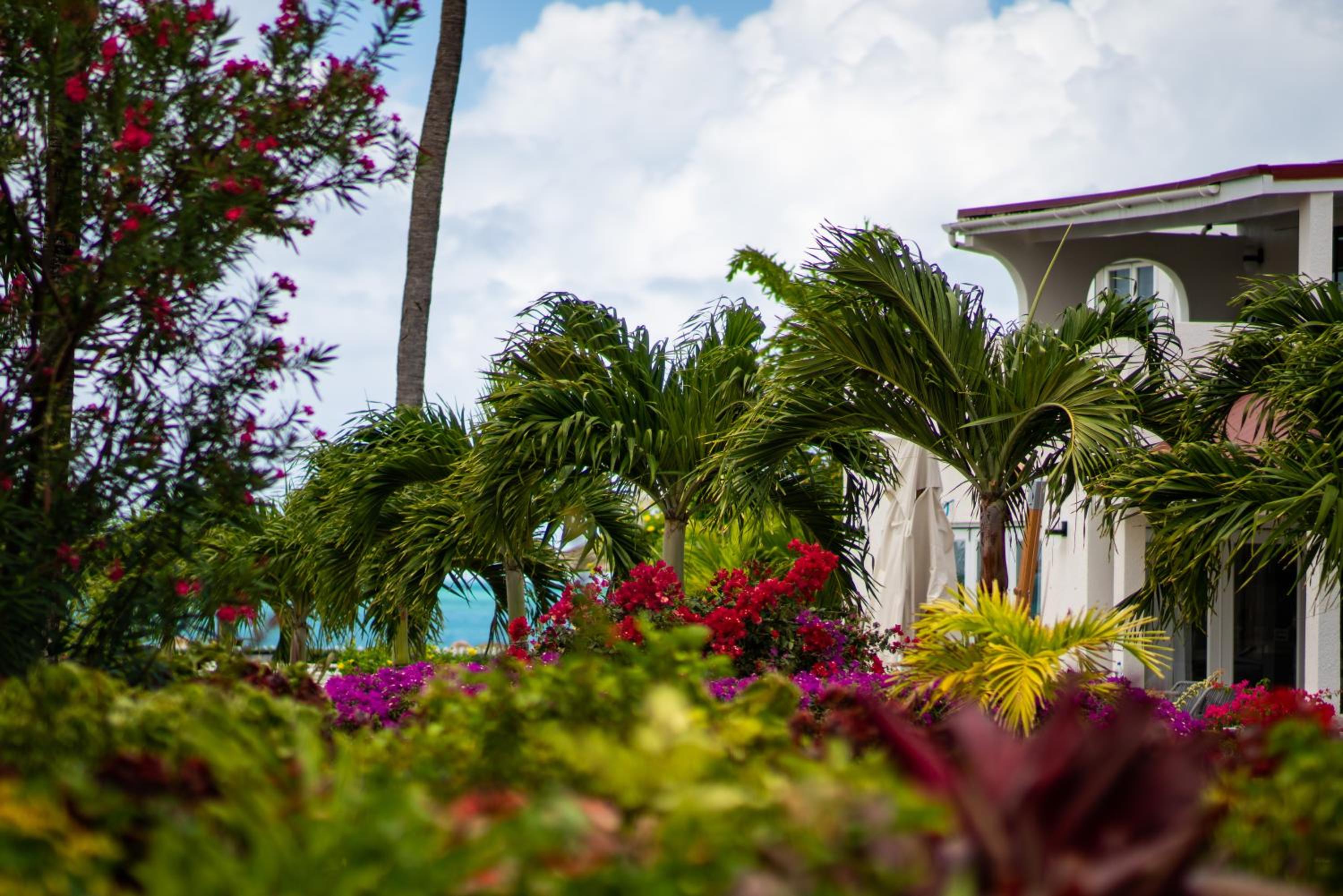 Antigua Village Beach Resort