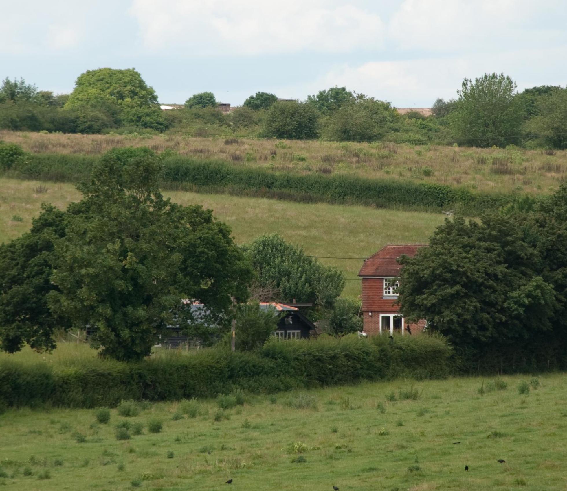 Bull Farm Studios