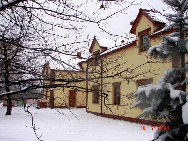 Photo 19