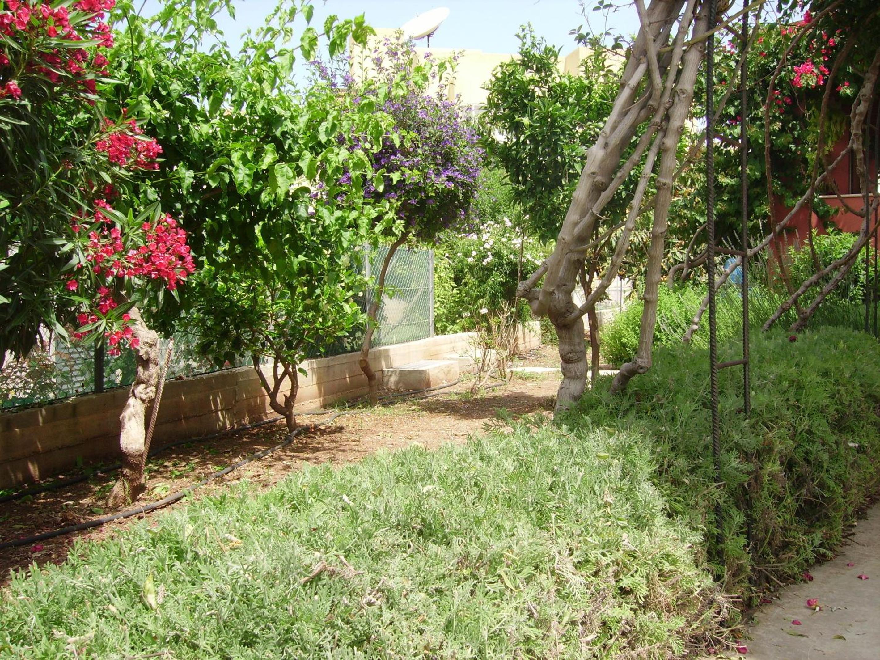 Photo 24