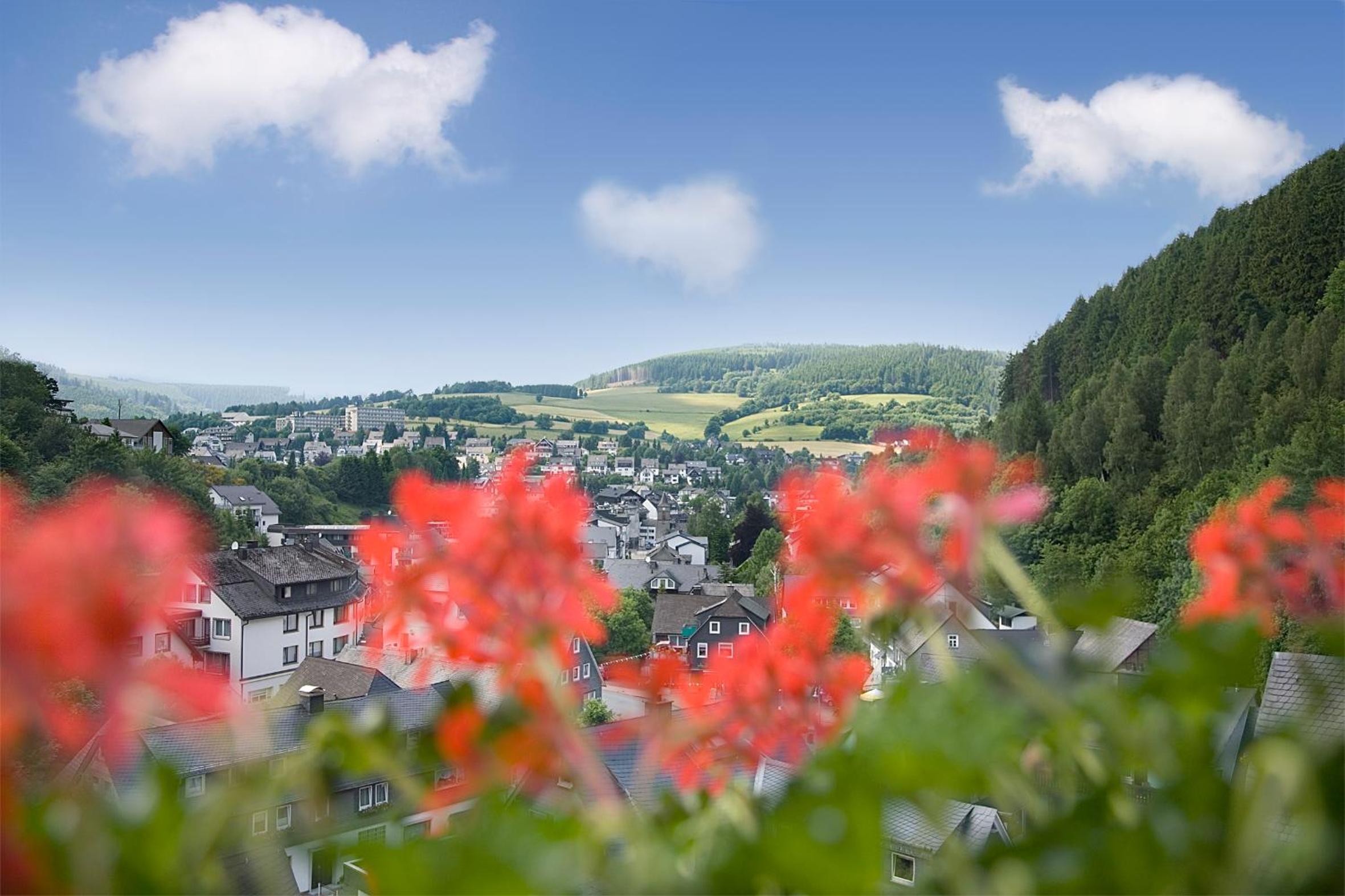 Café Alt Willingen