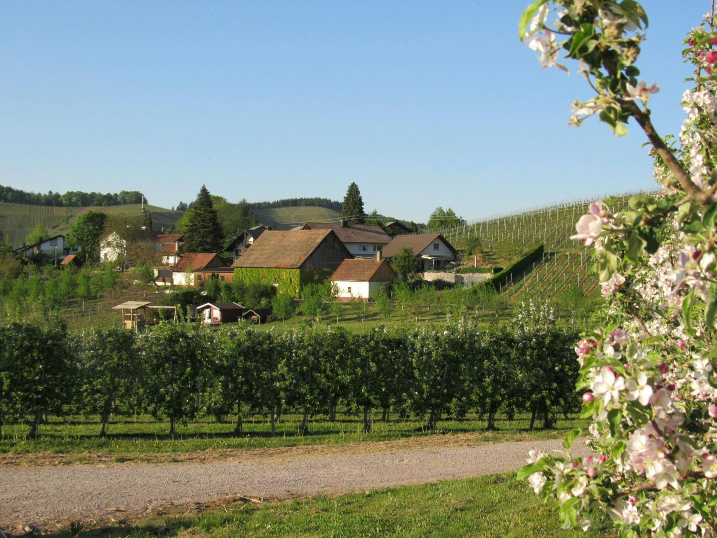 Gästehaus Wörner