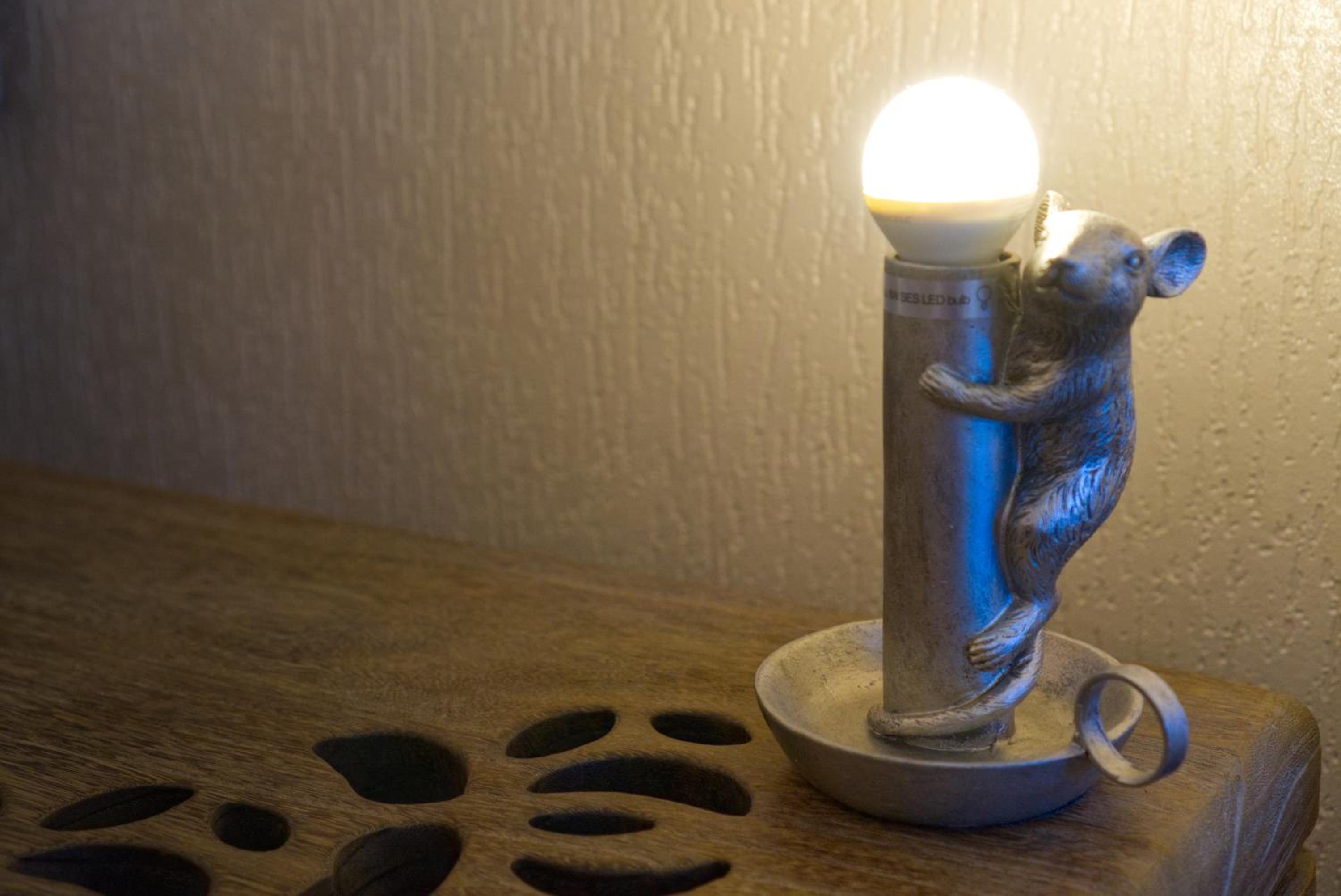 Photo 47