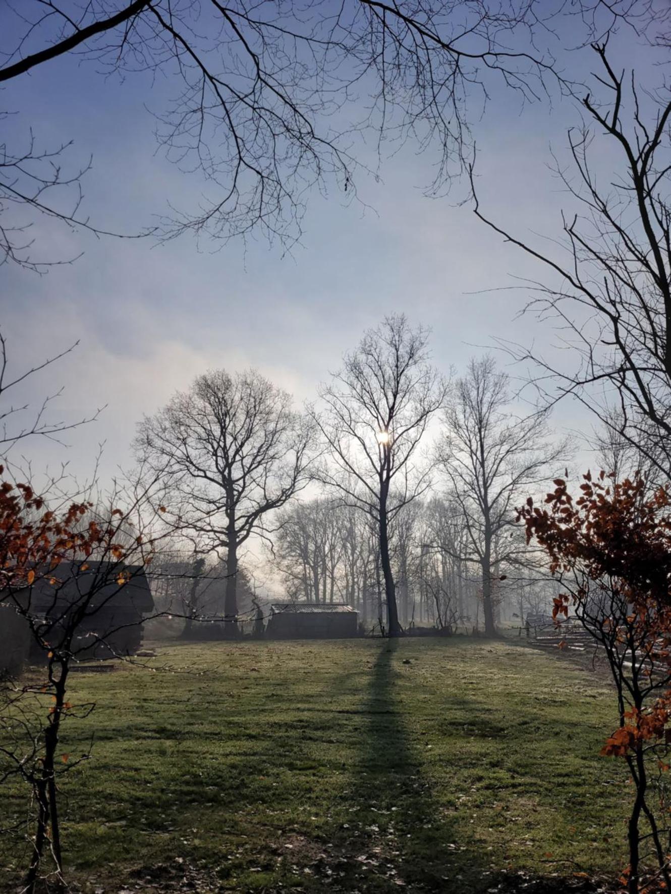 Parkhoeve Glamping