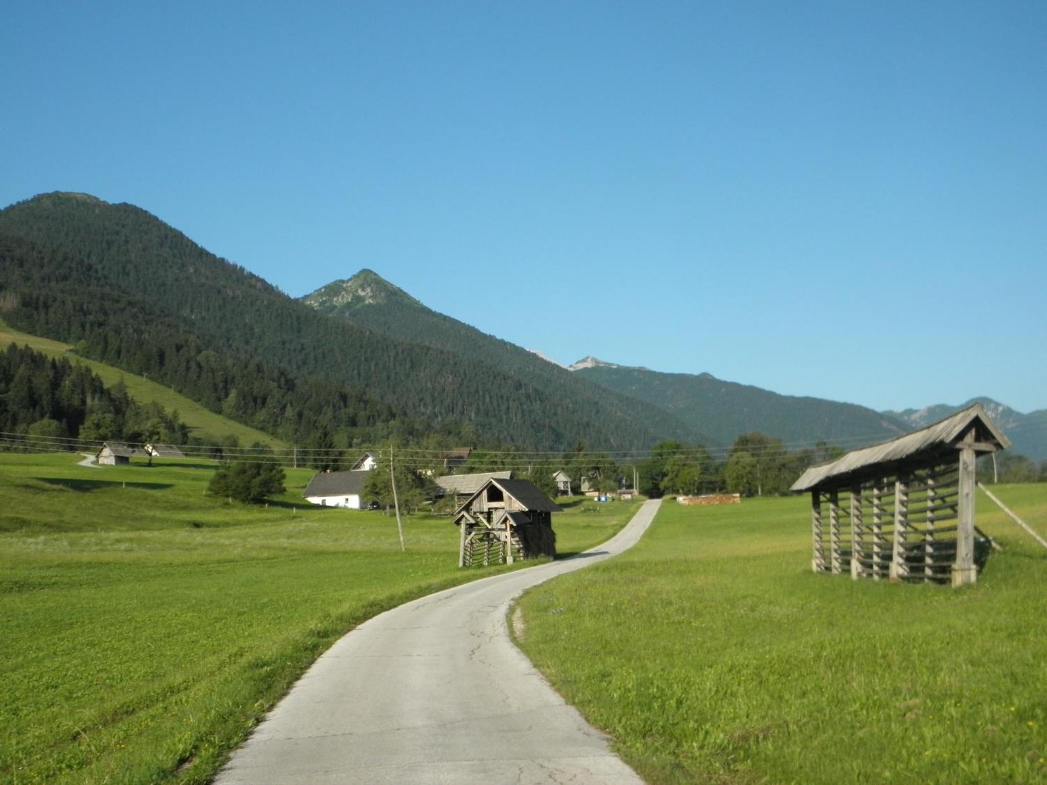 Photo 42