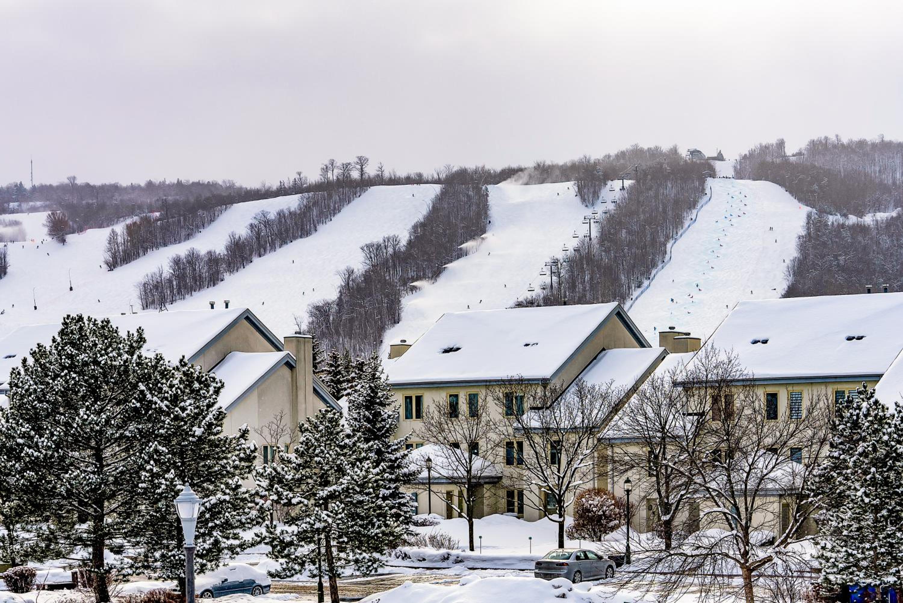 Luxurious Blue Mountain 3BR & 3BTH Walk-in to Village