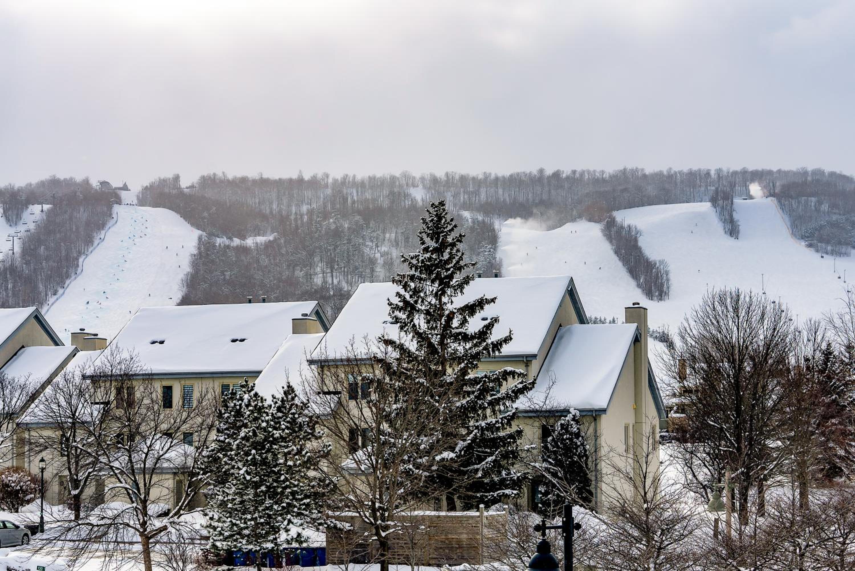 Hotel Planurstay - Blue Mountain 3br & 3bth Walk-in To Village