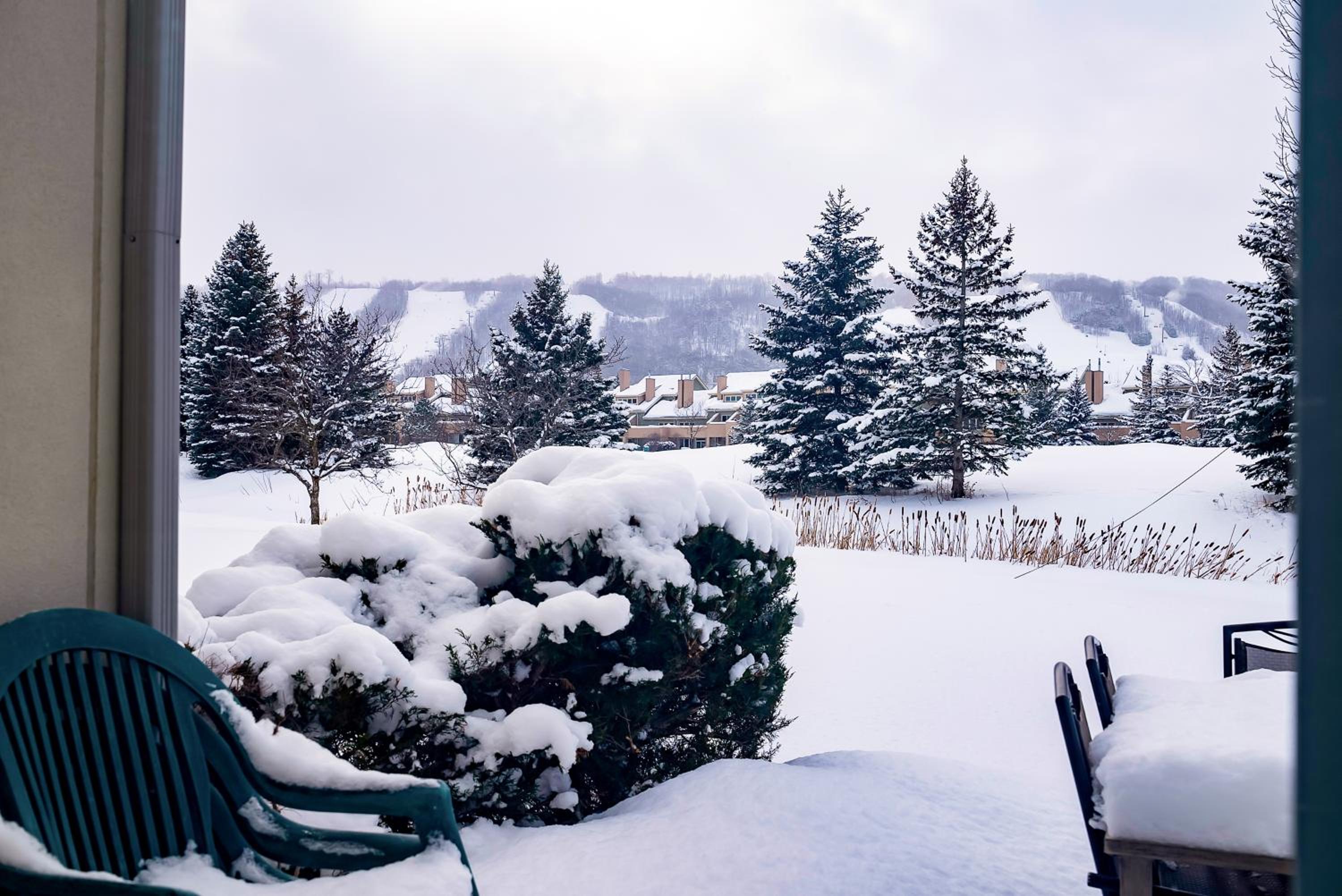 Luxurious Blue Mountain 3BR & 3BTH Walk-in to Village