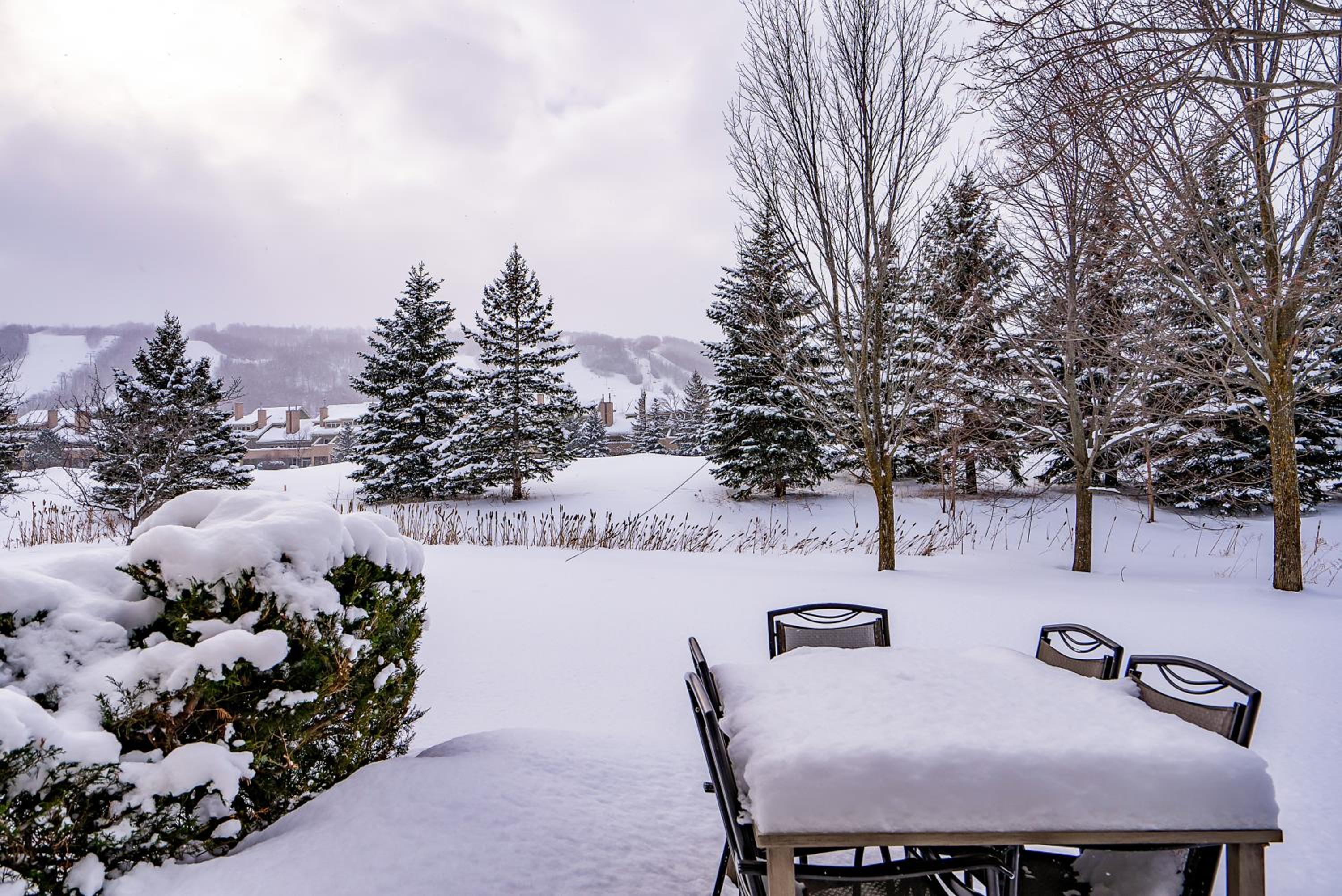 Luxurious Blue Mountain 3BR & 3BTH Walk-in to Village