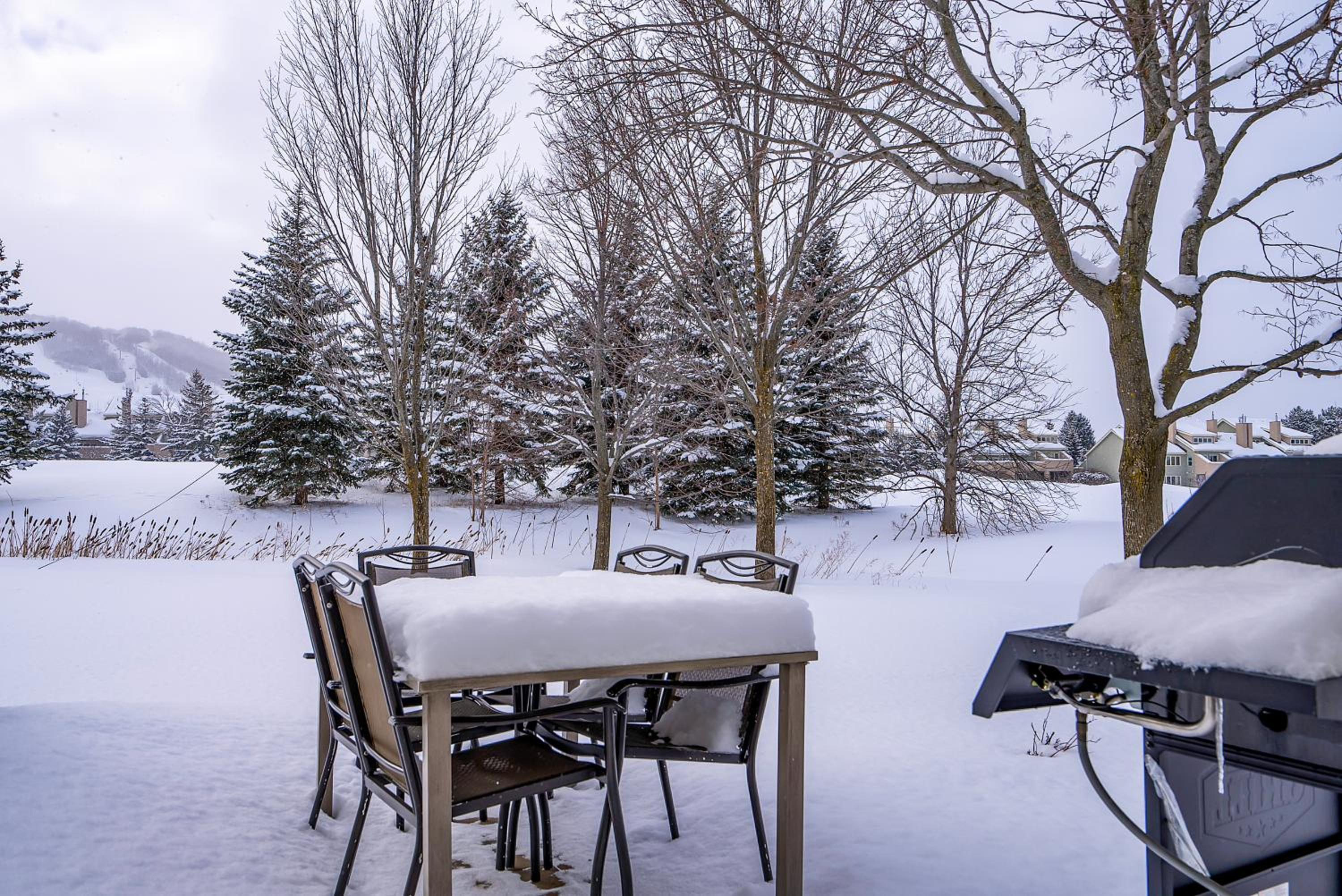 Luxurious Blue Mountain 3BR & 3BTH Walk-in to Village