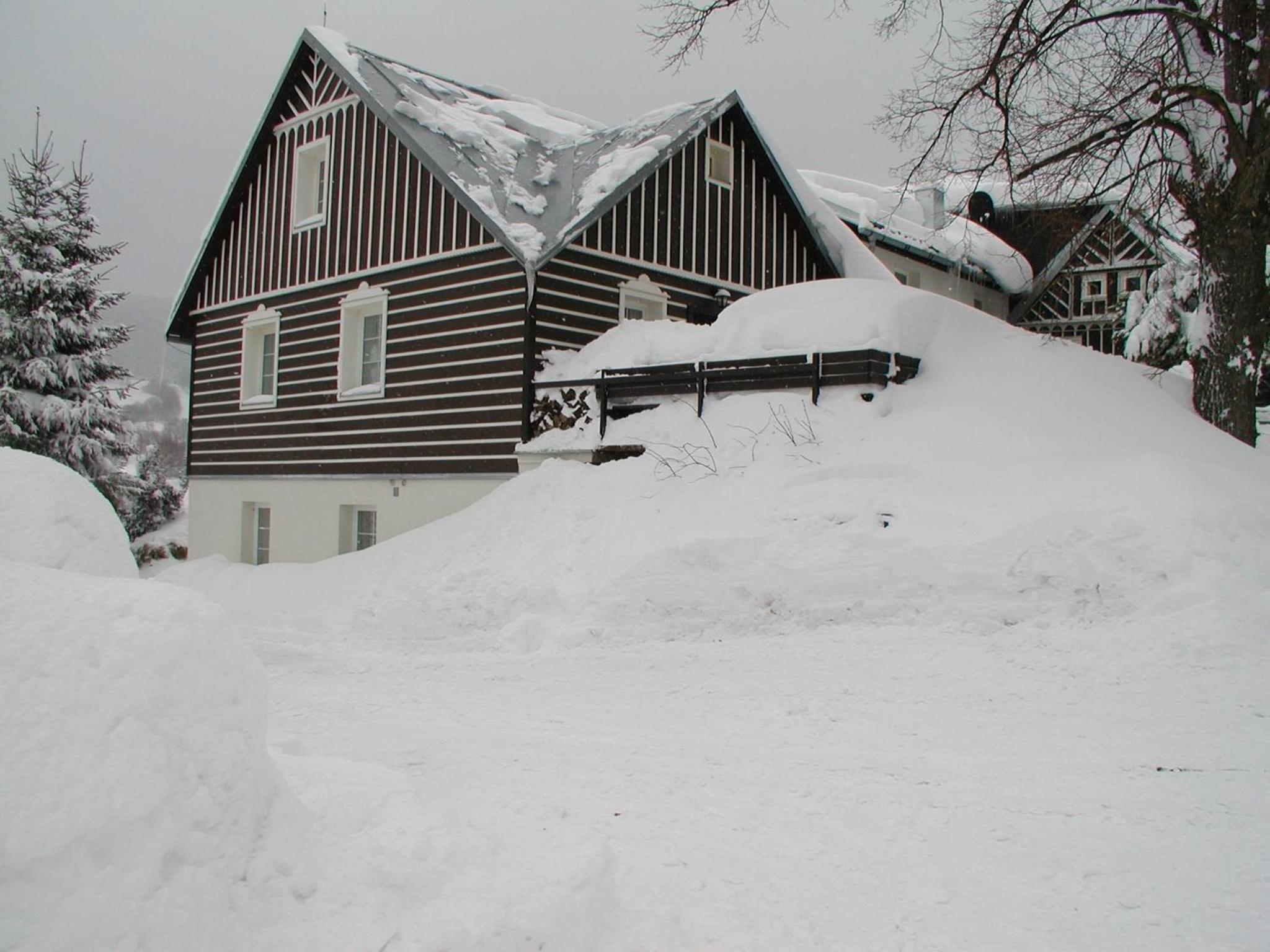 Photo 50