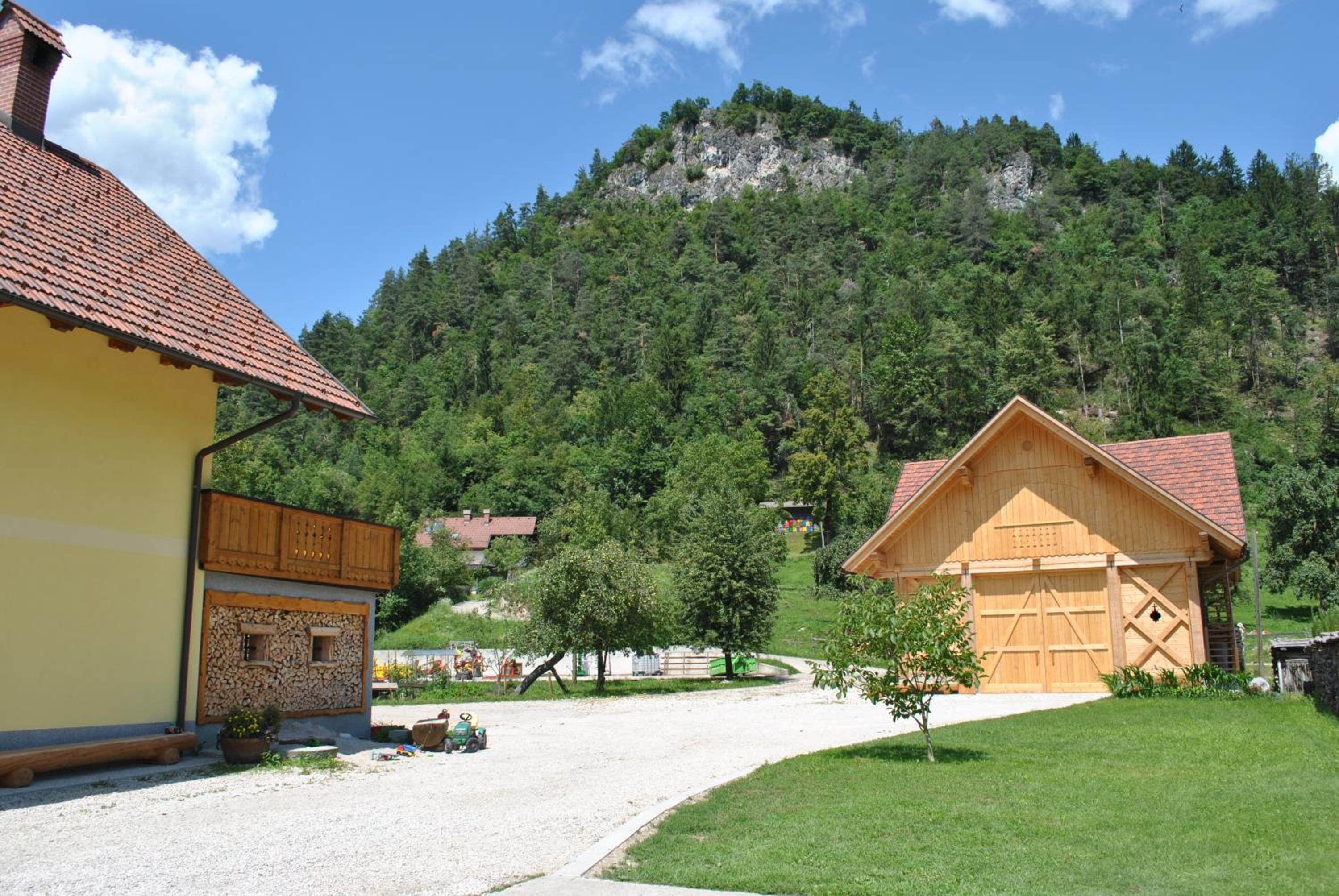 Photo 21