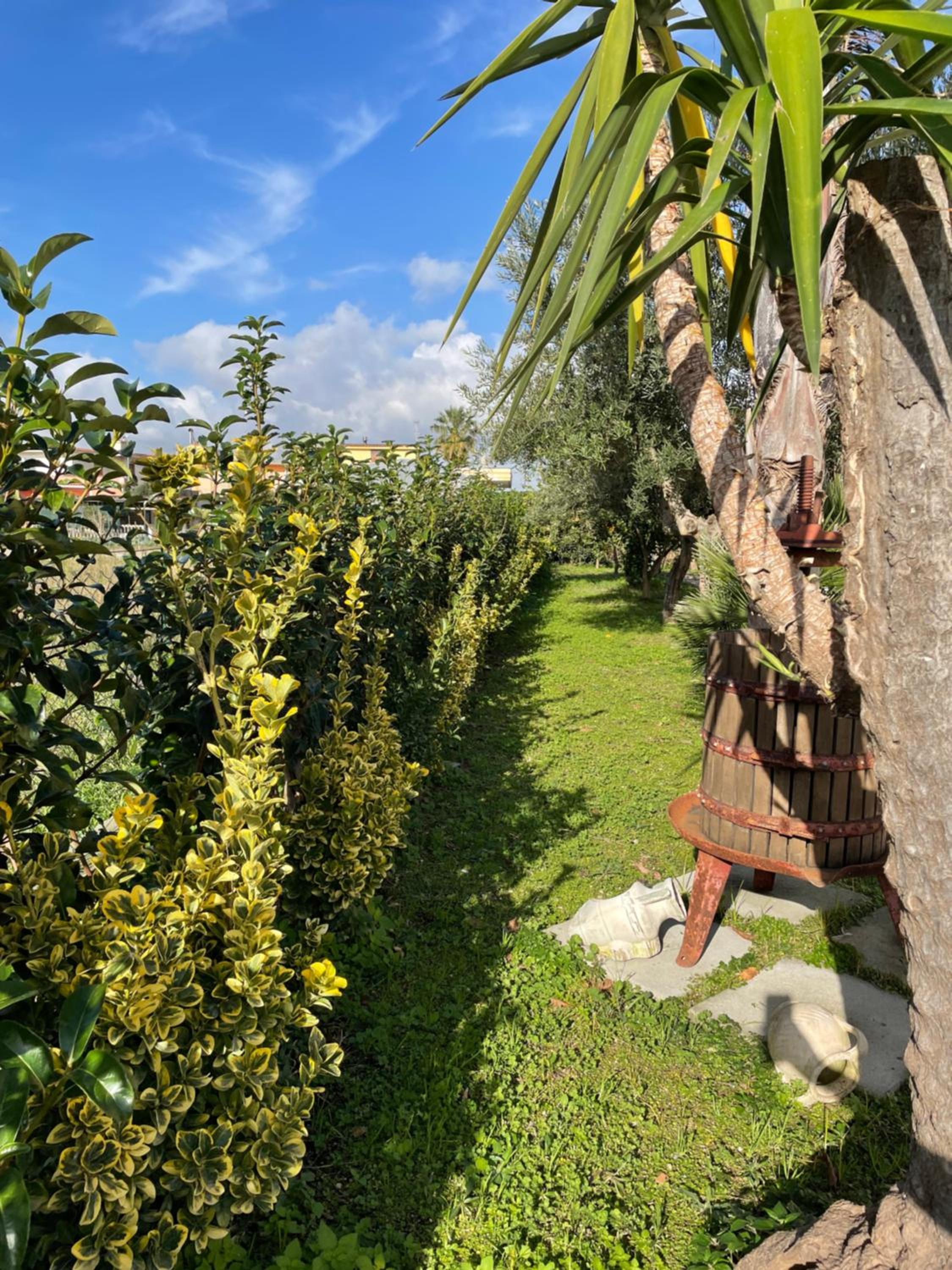 Casa Vacanze Paradise