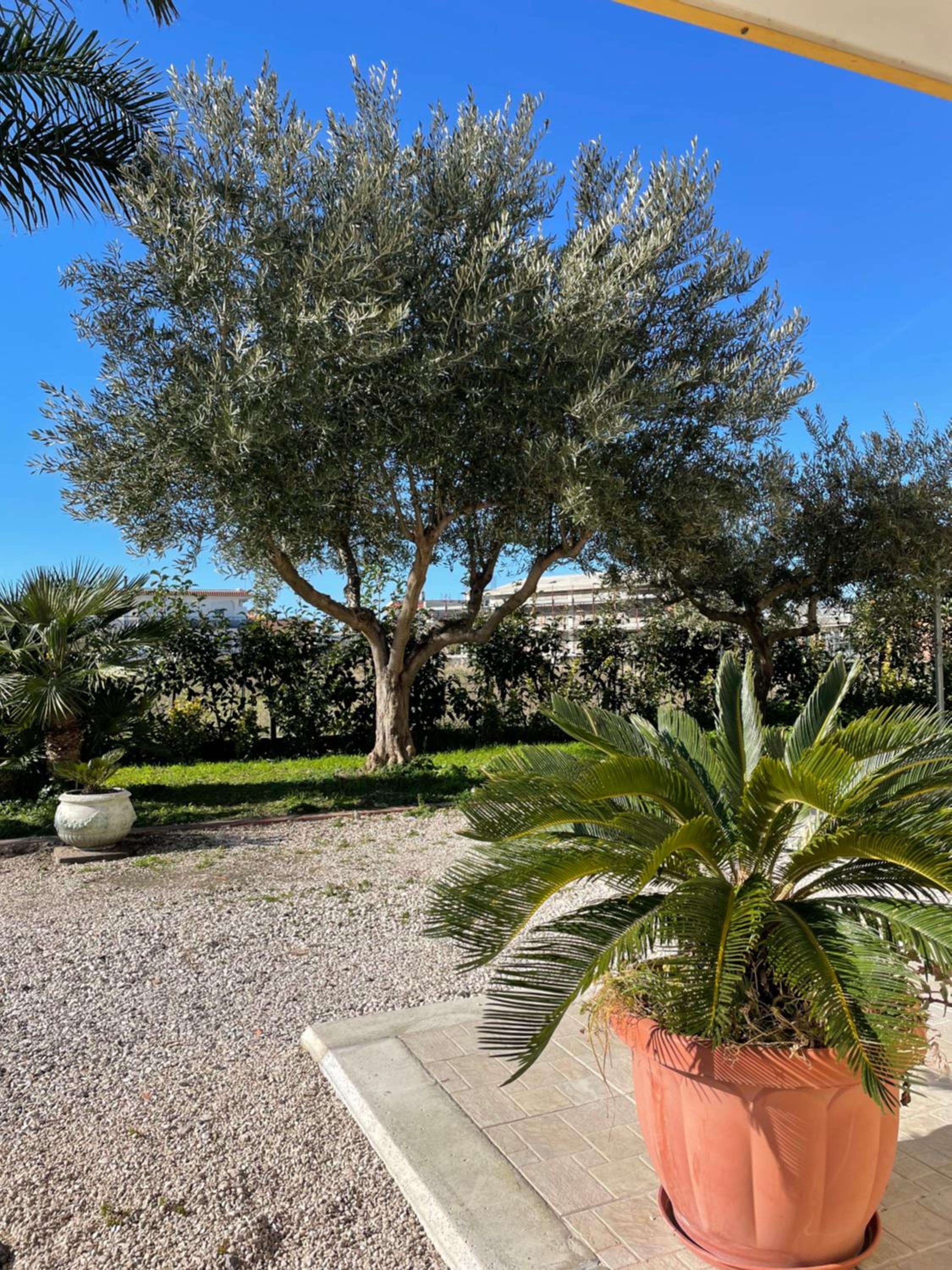 Casa Vacanze Paradise