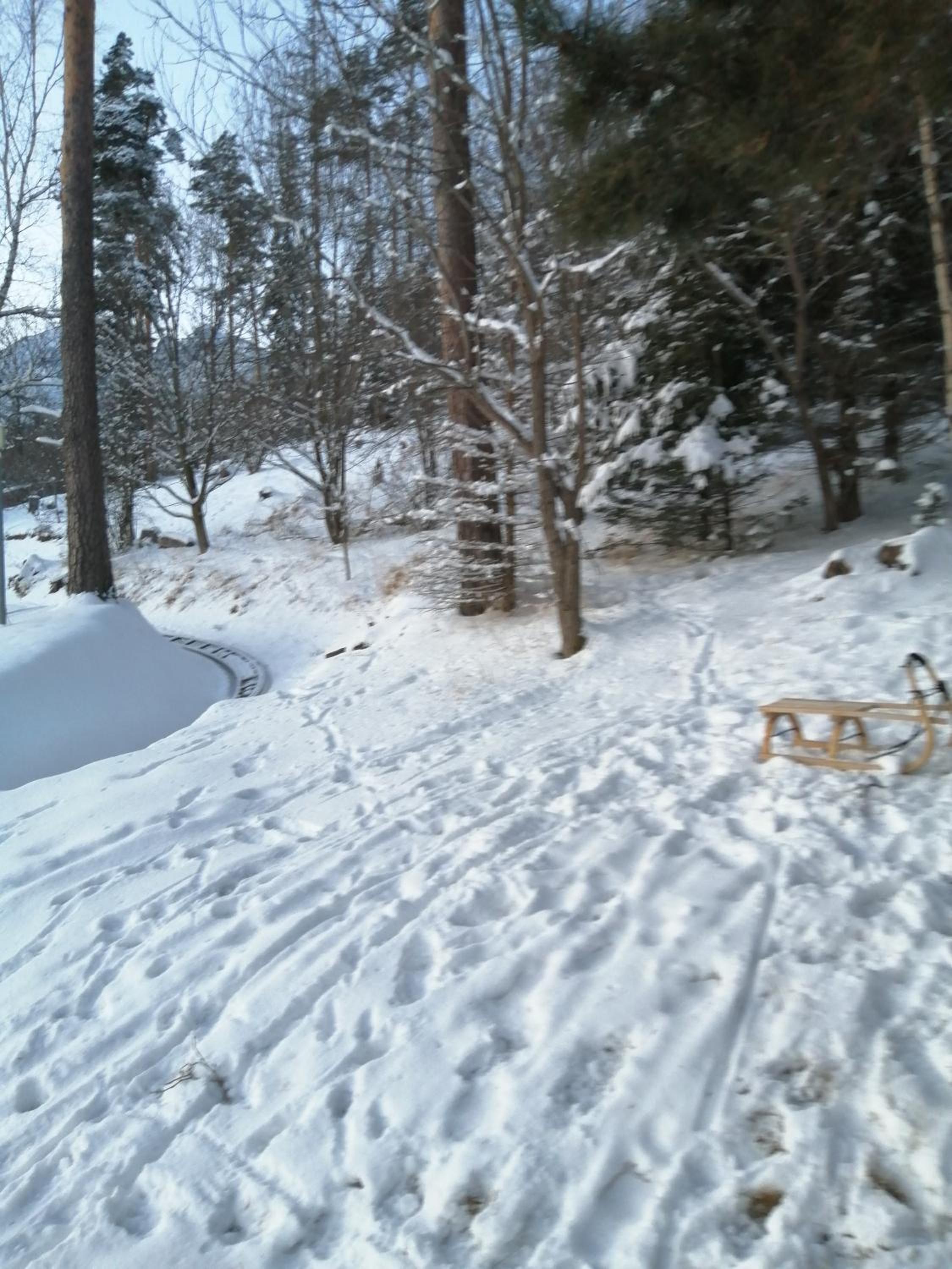 Photo 7