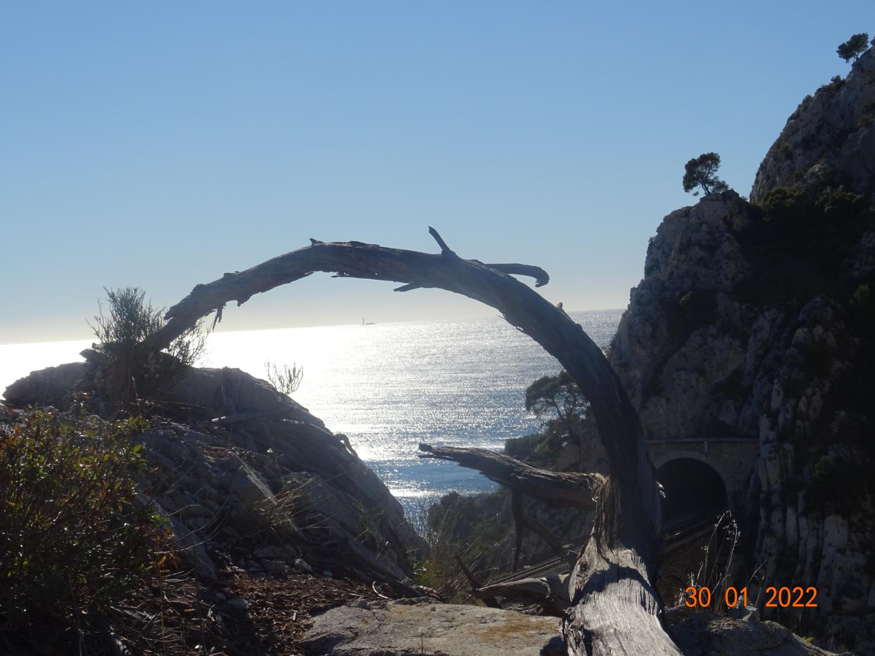 Photo 28