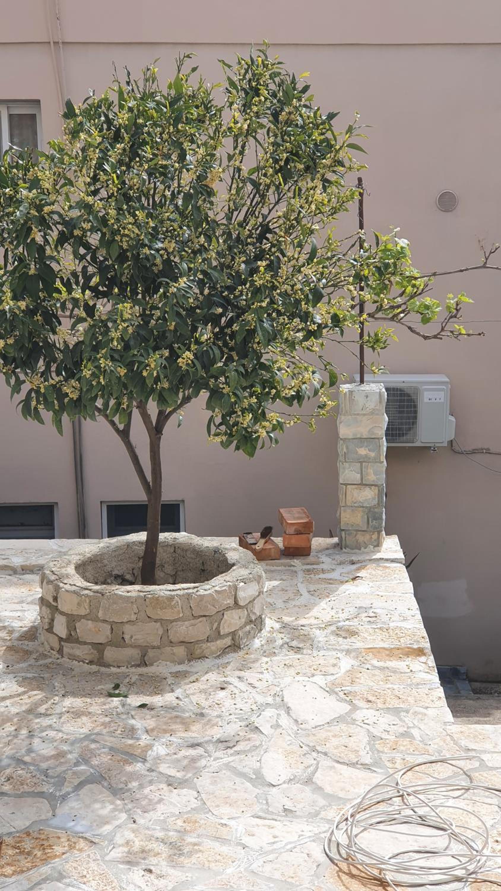 Emilios Traditional Villa