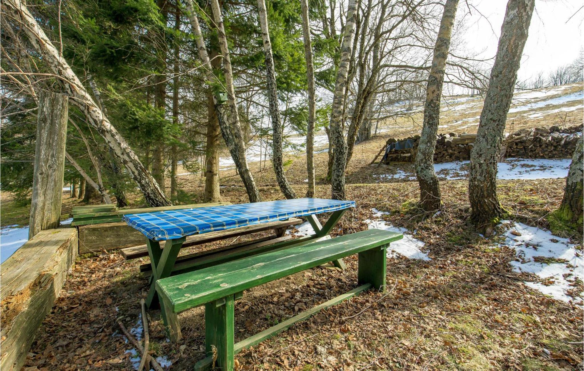Nice Home In Begovo Razdolje With Wifi
