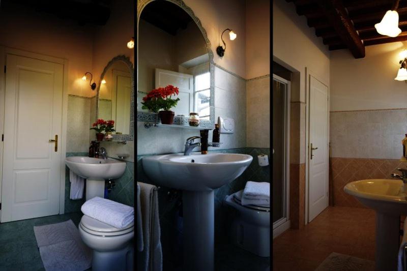 Ringo, the true Tuscany Country House
