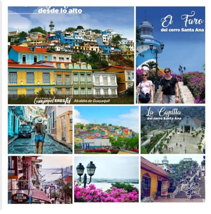 Guayaquil Vacations - Ecusuites Room 44 bellini Gye Santa Ana - Property Image 11