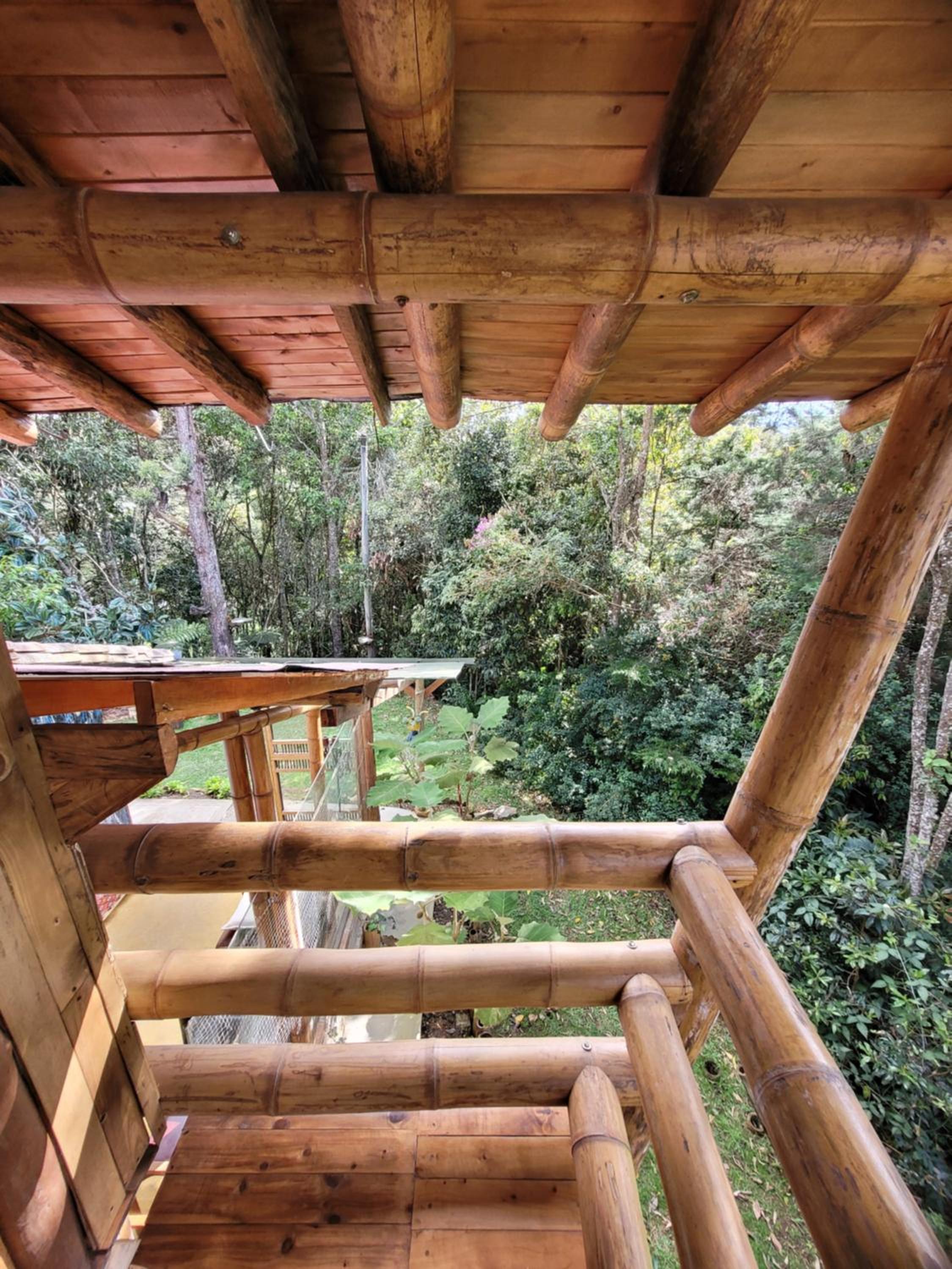 Refugio en el Bosque