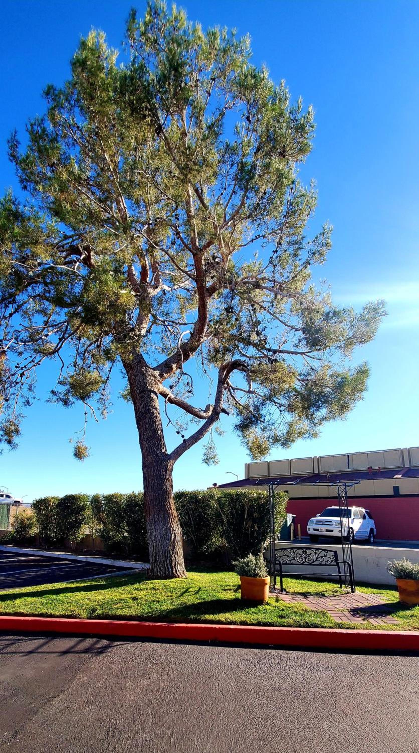 Motel 6-Palmdale, CA