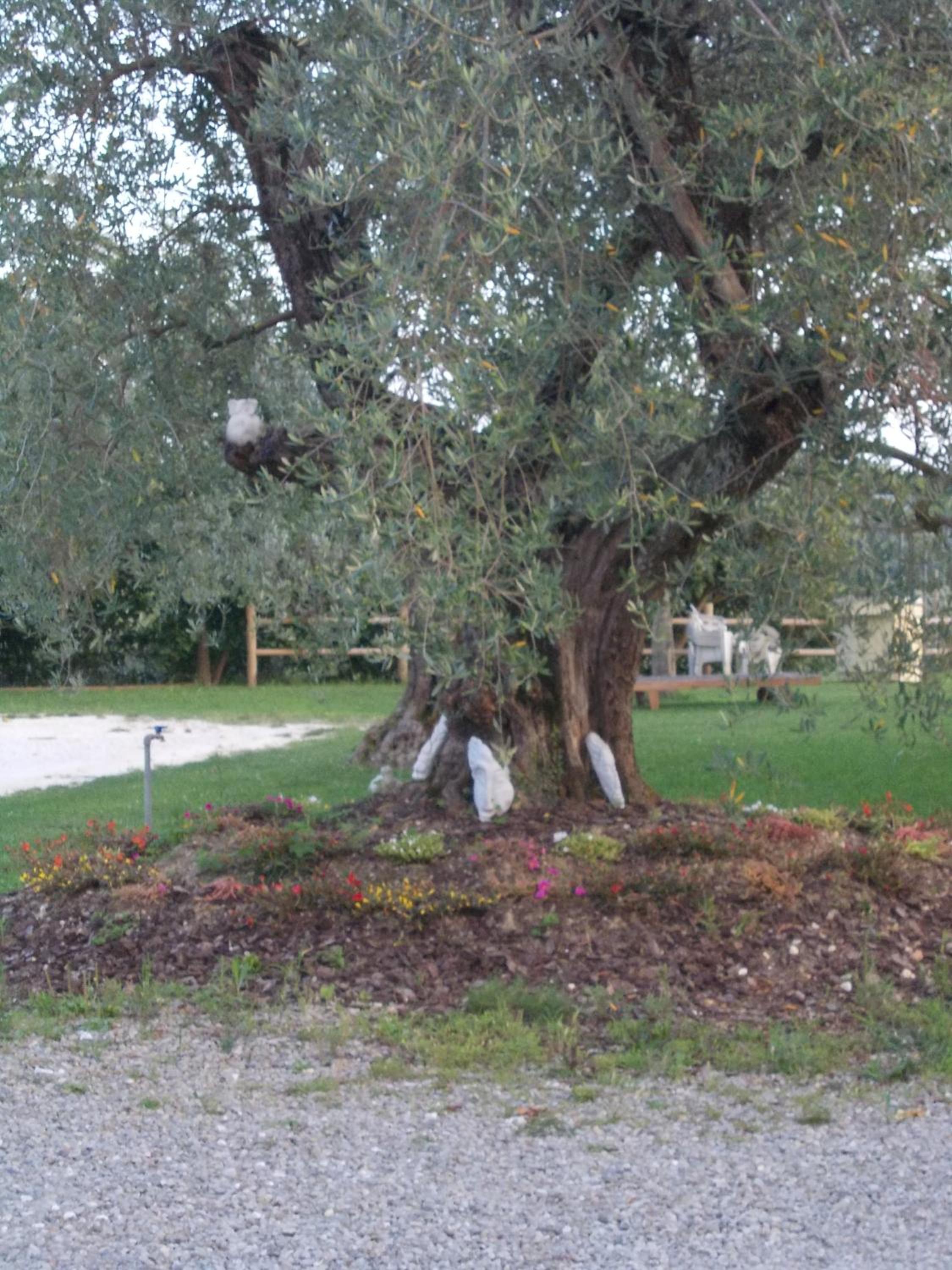 Photo 34