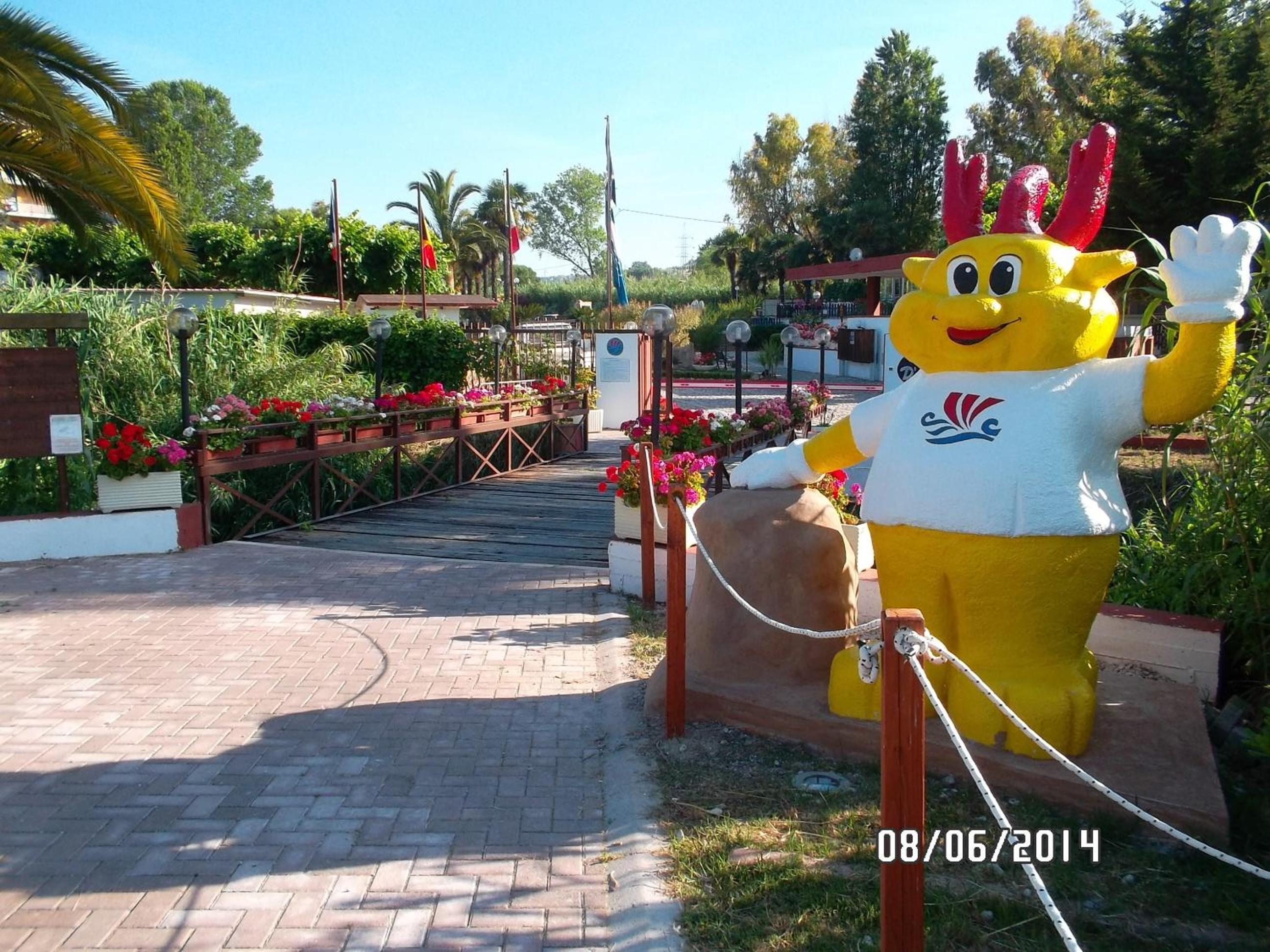 Photo 31