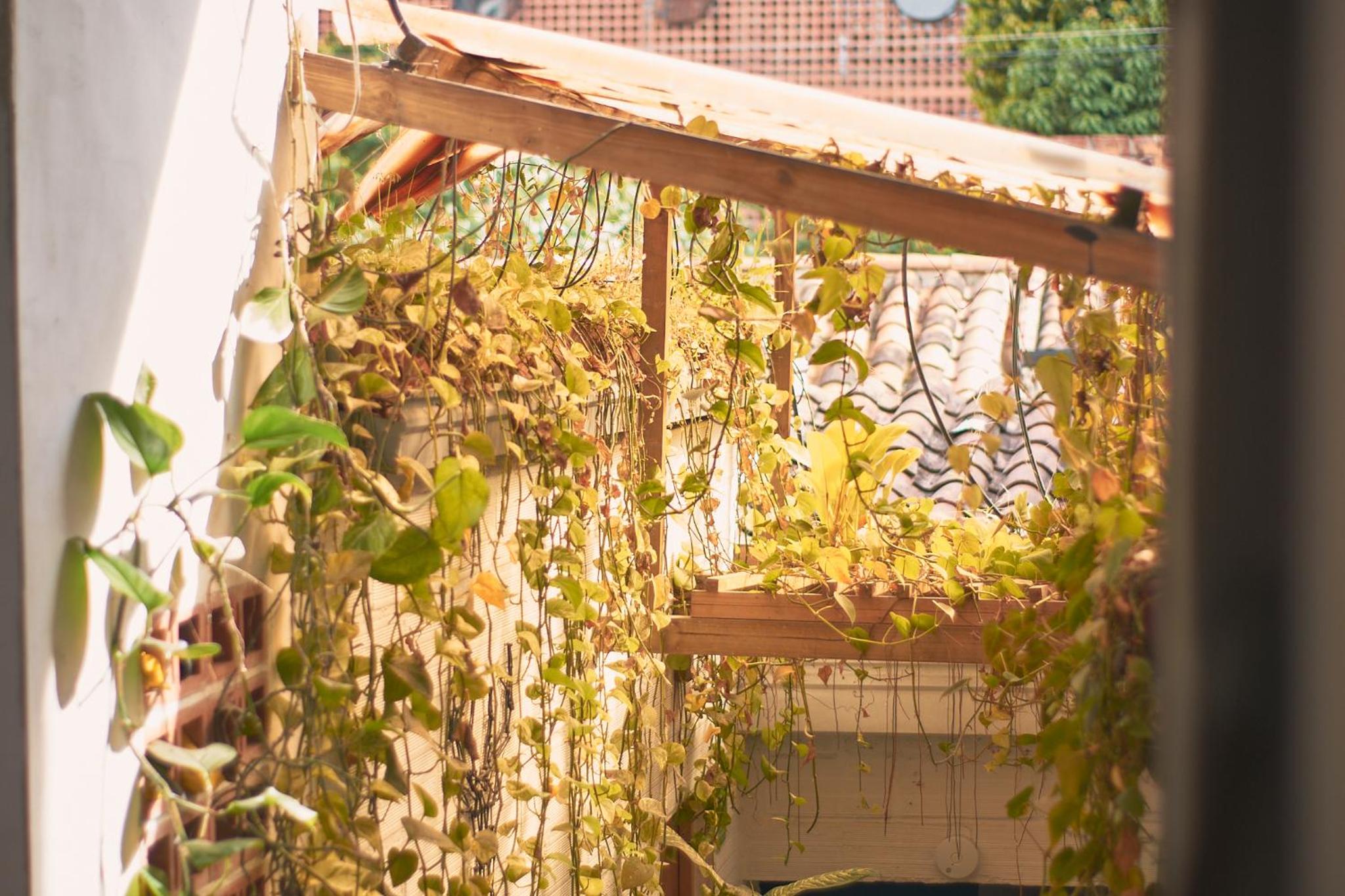 Hostal Casa Estación