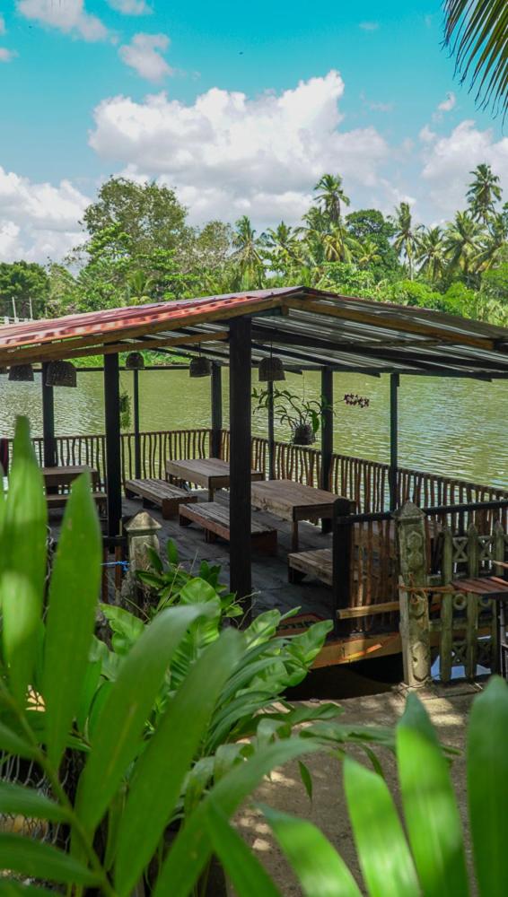 Luvi Lucas River Side view 3