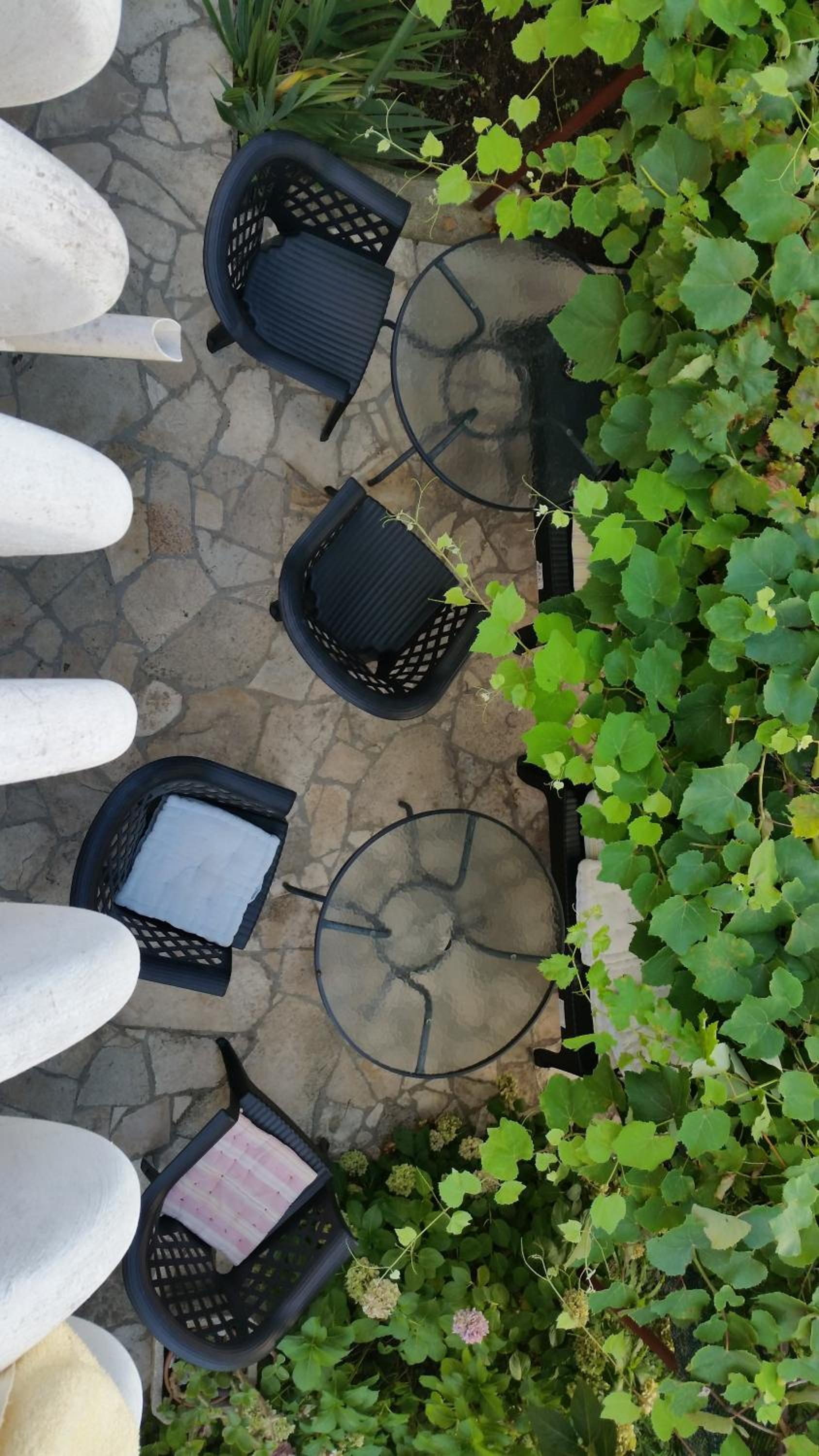 Apartments Beba Zalad