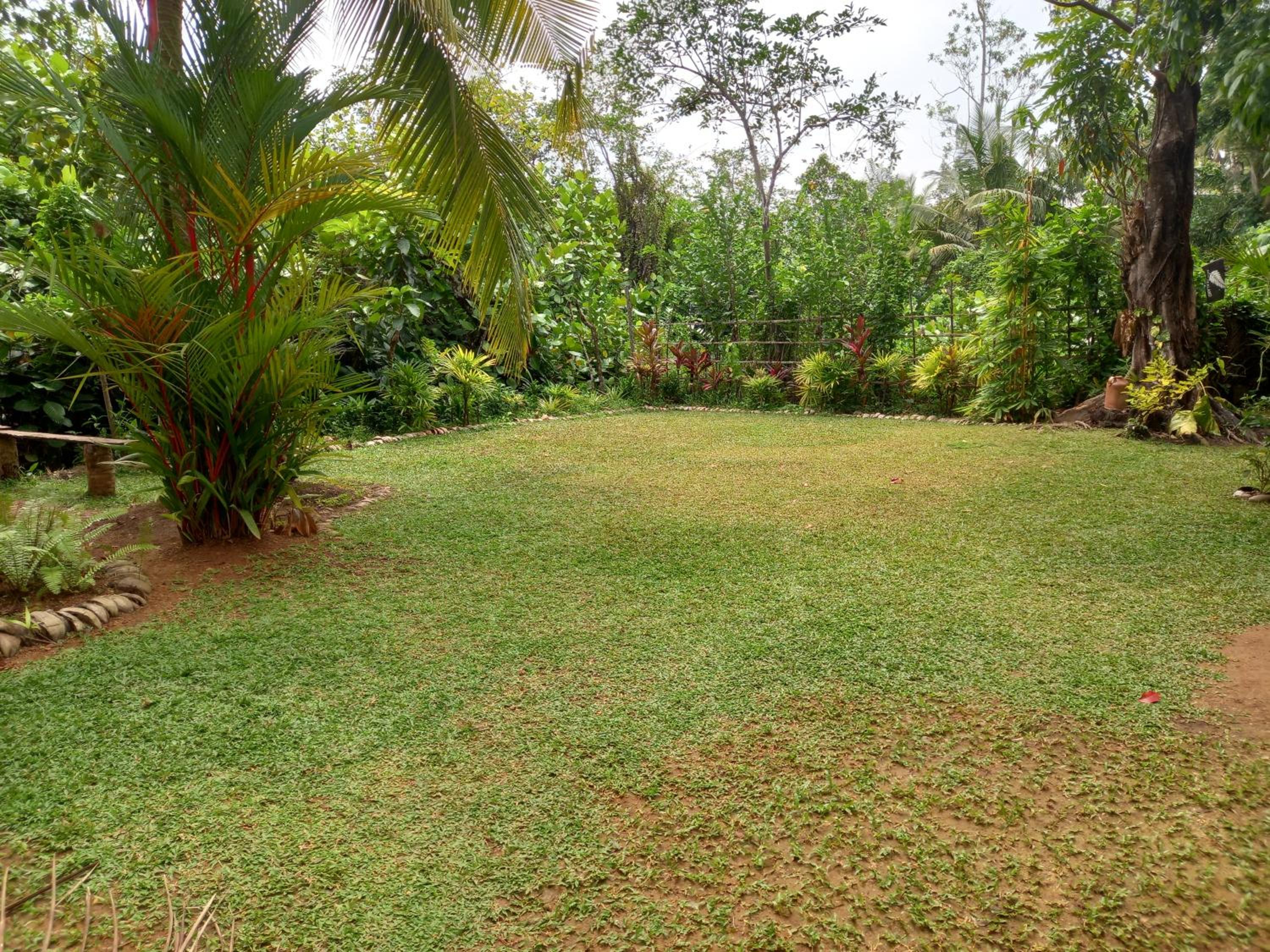 Photo 27