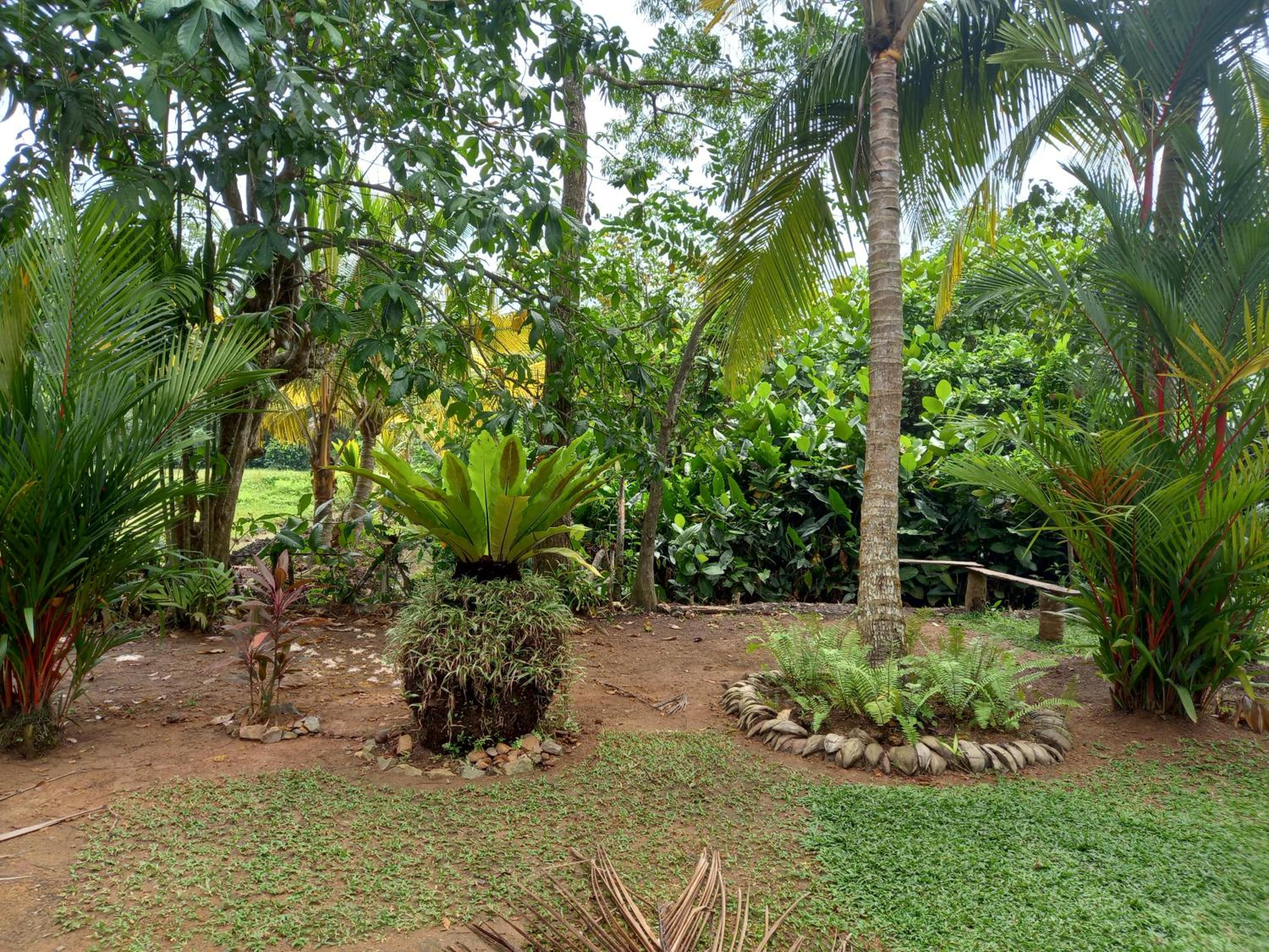 Photo 26