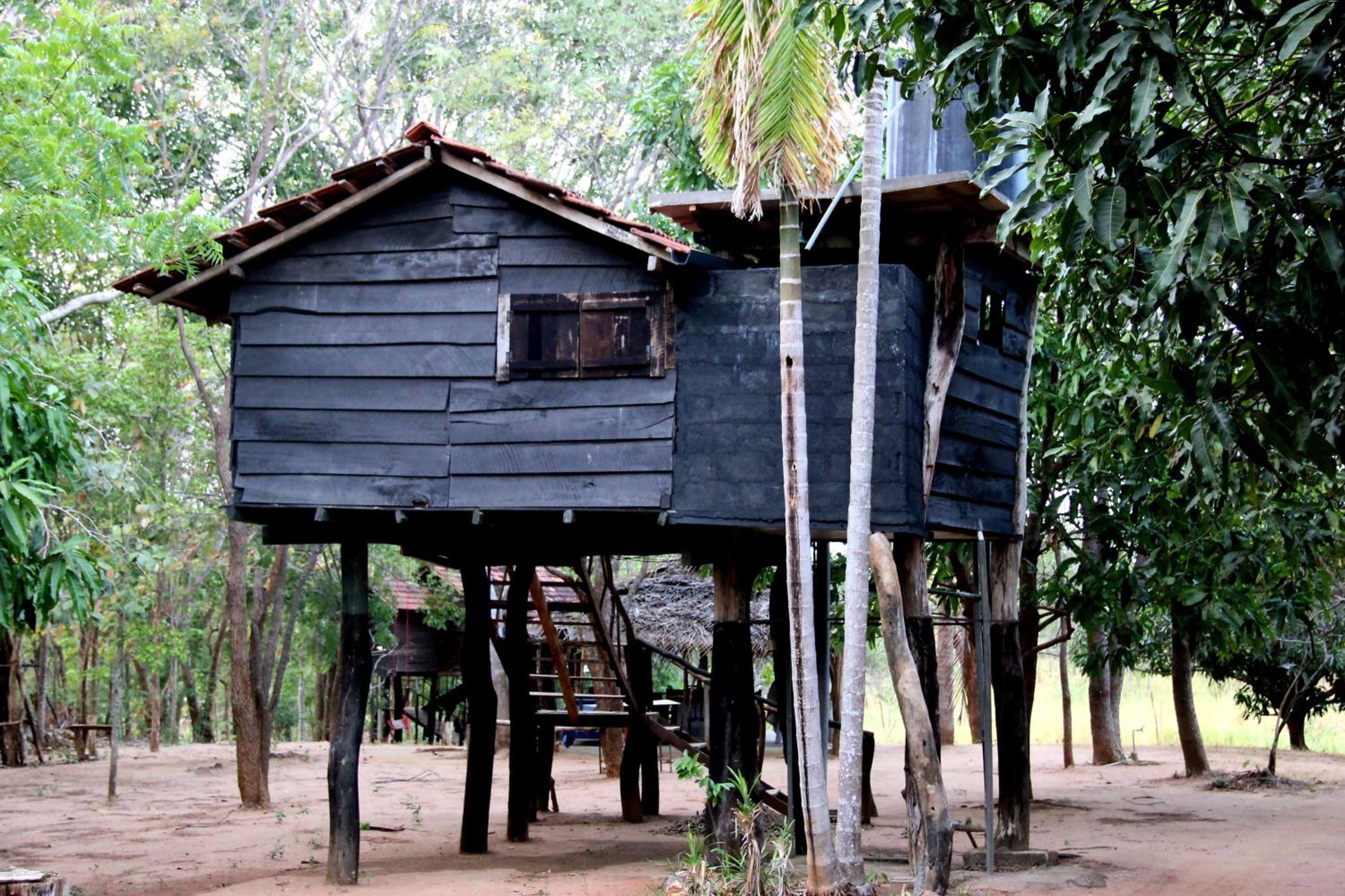 Photo 40