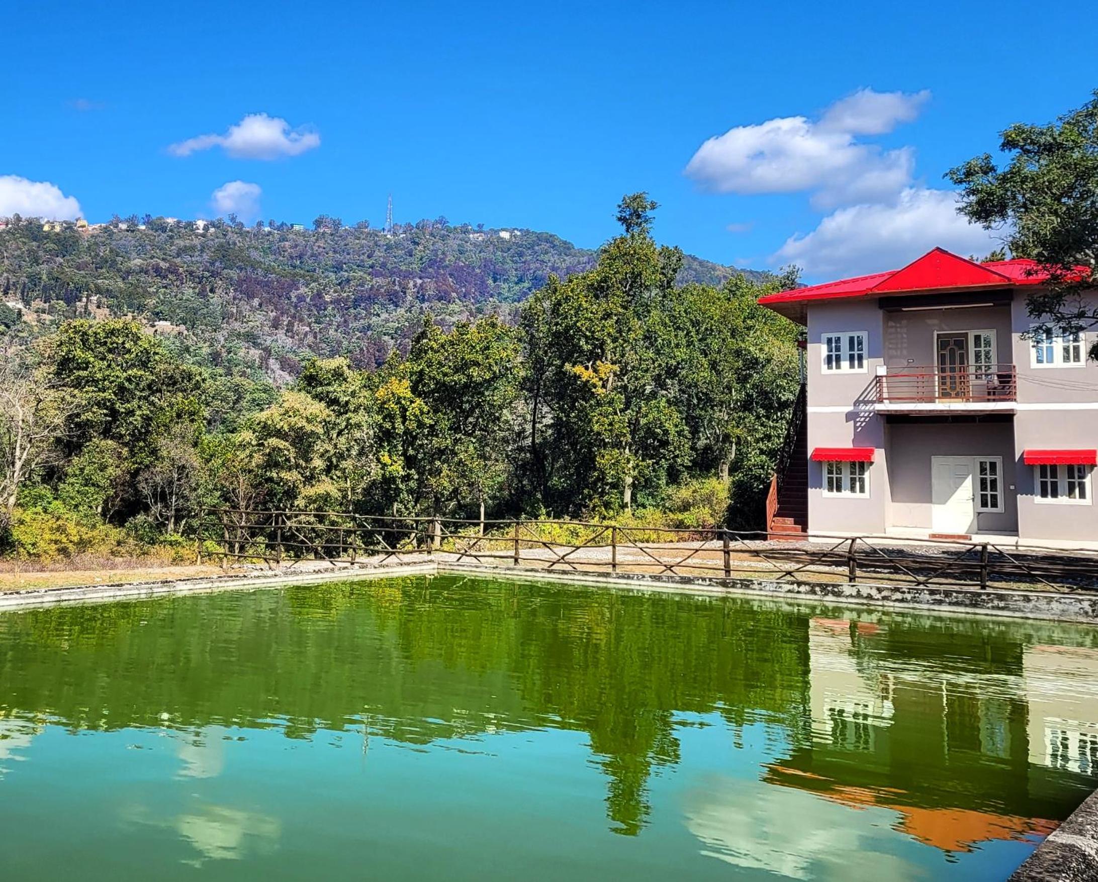 Green Acres Homestay view 4