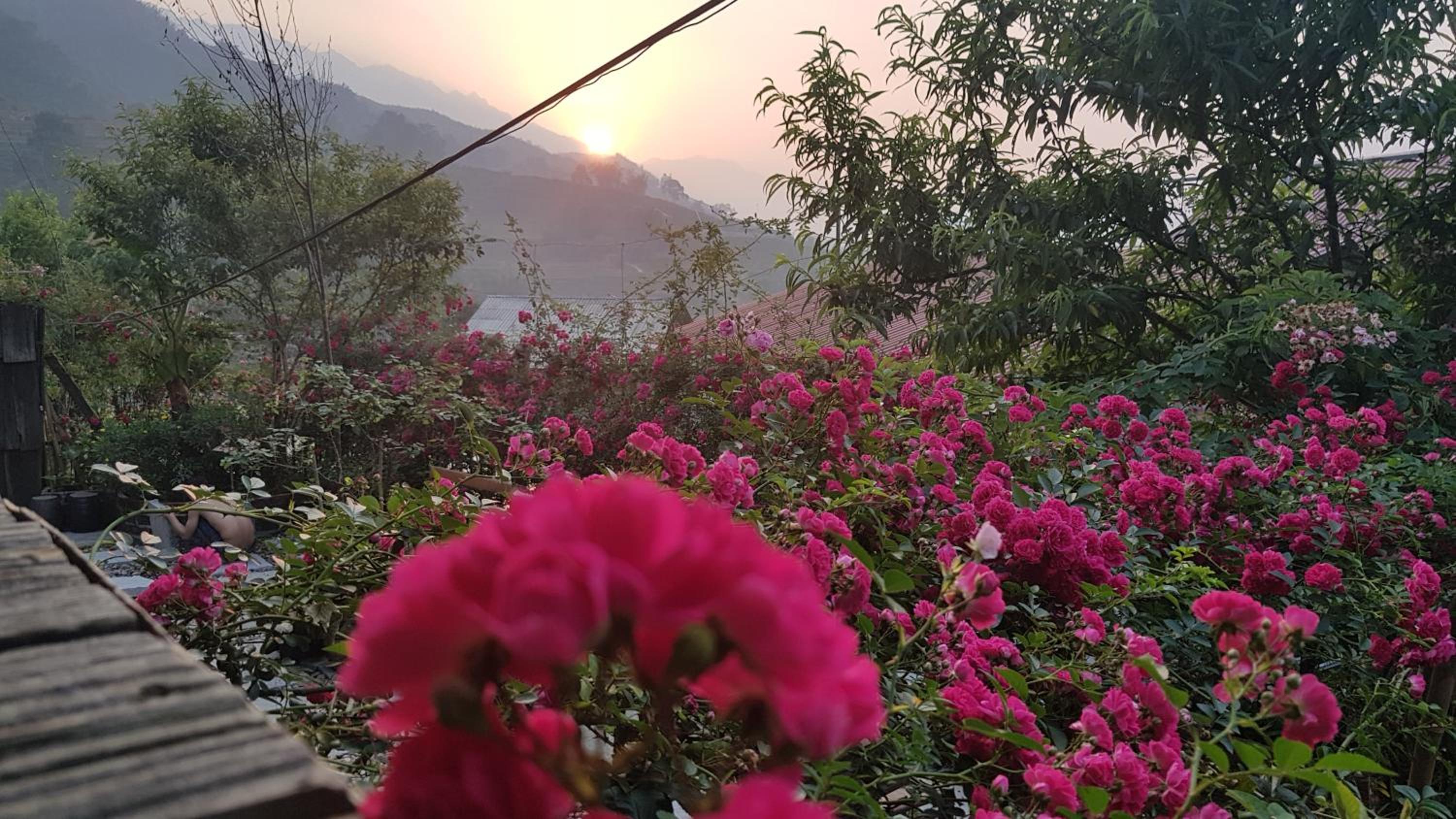 Tavan View Homestay