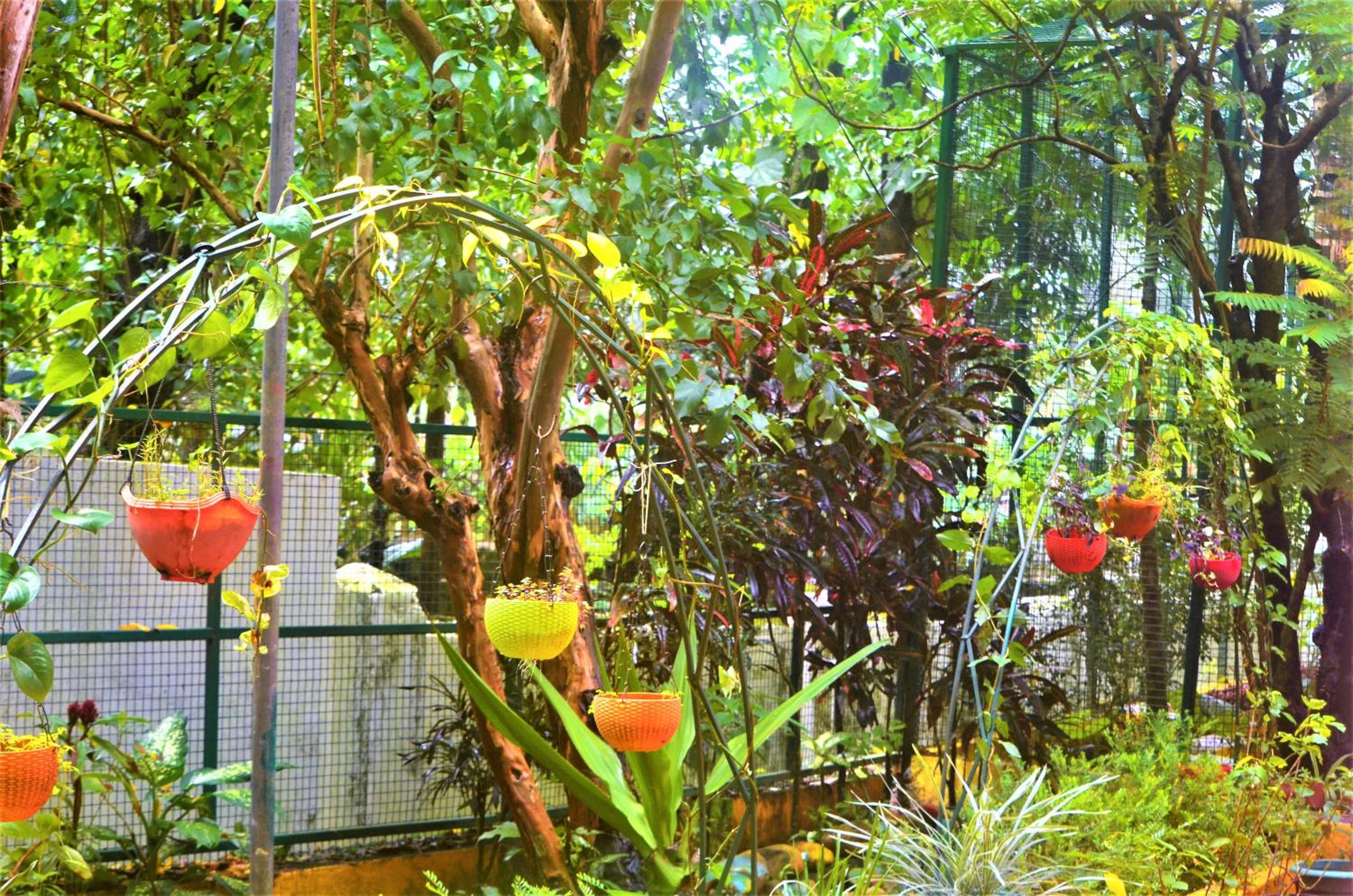 Photo 42