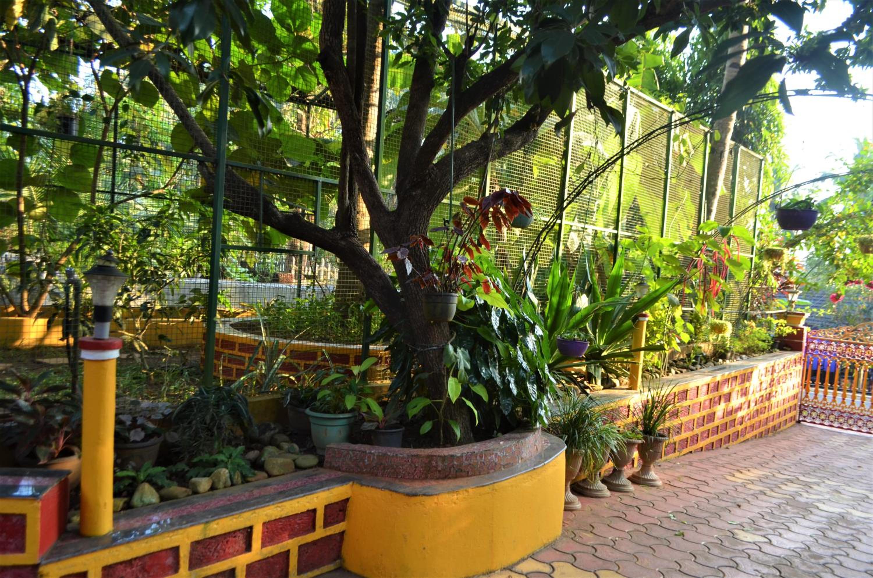Photo 43