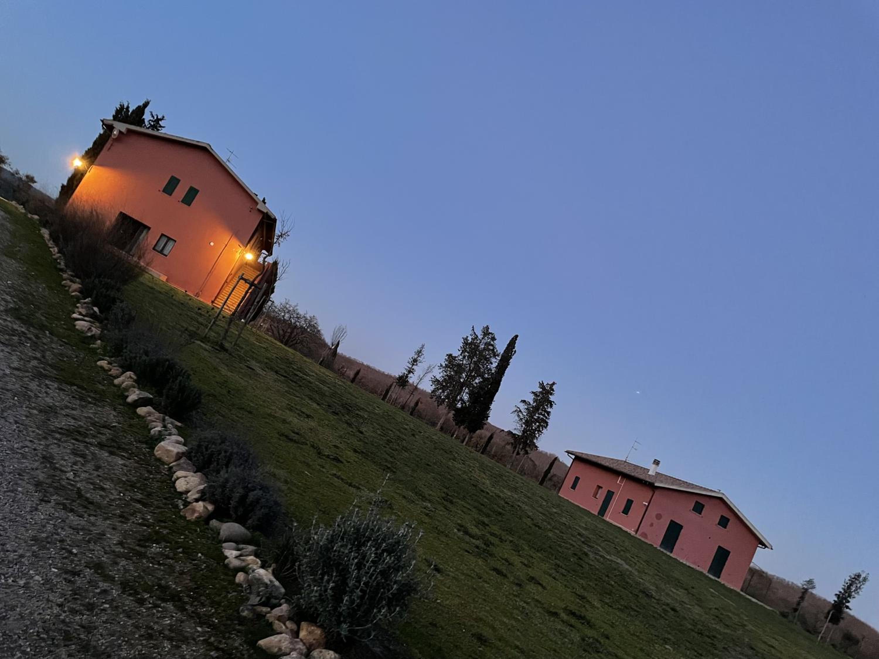 Photo 39