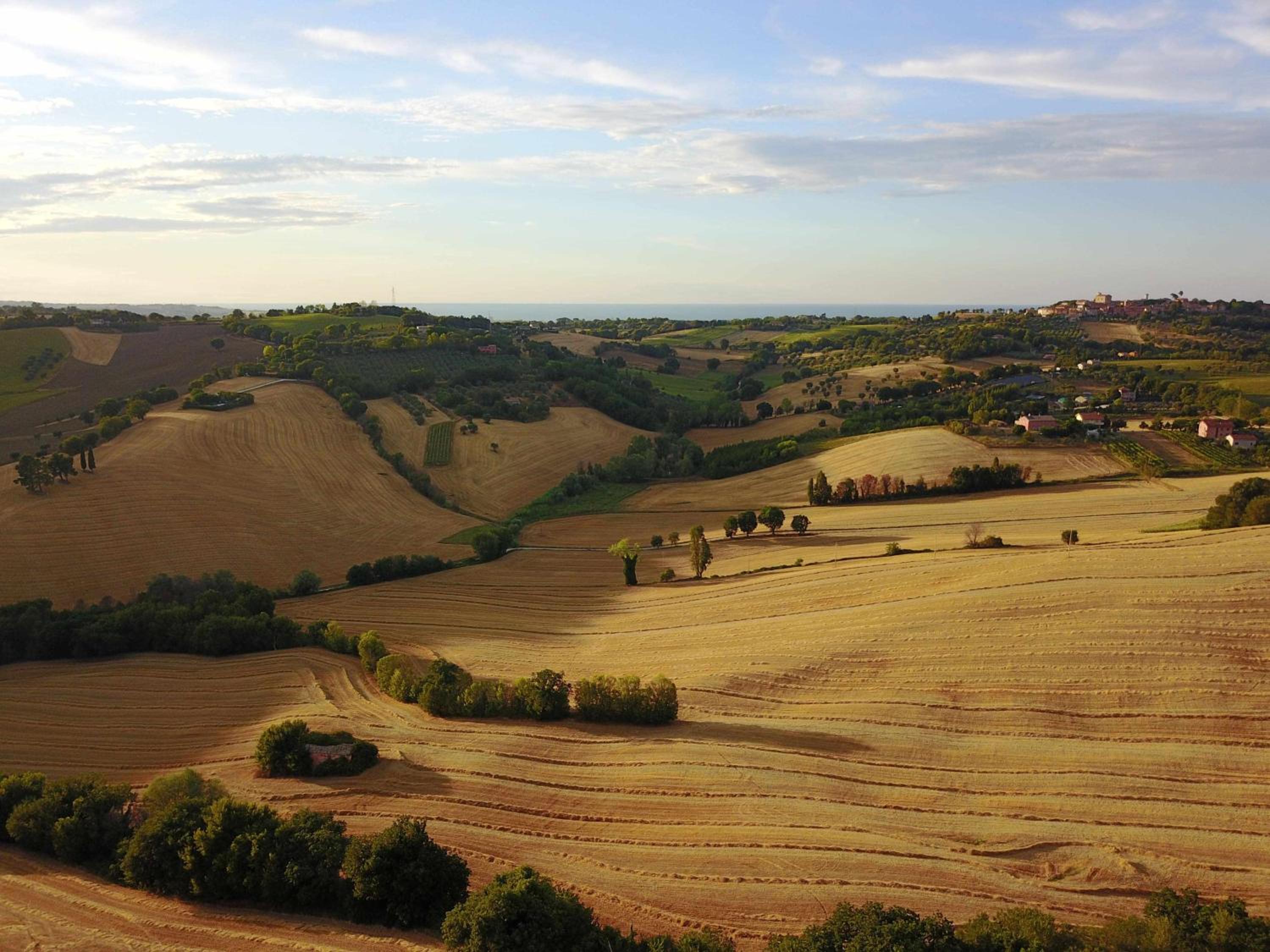 La Meriggia Senigallia Agriturismo view 4