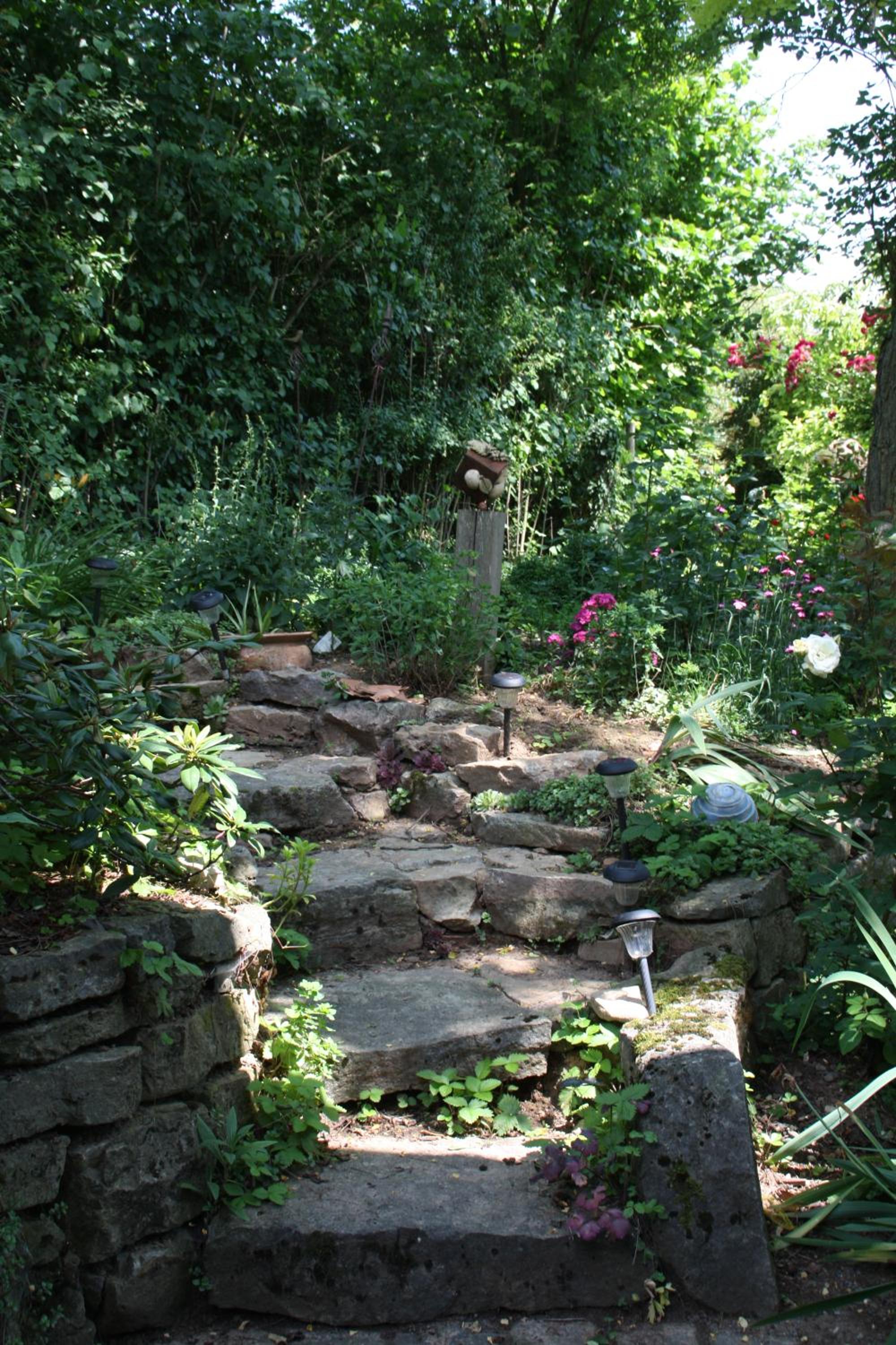 Photo 8
