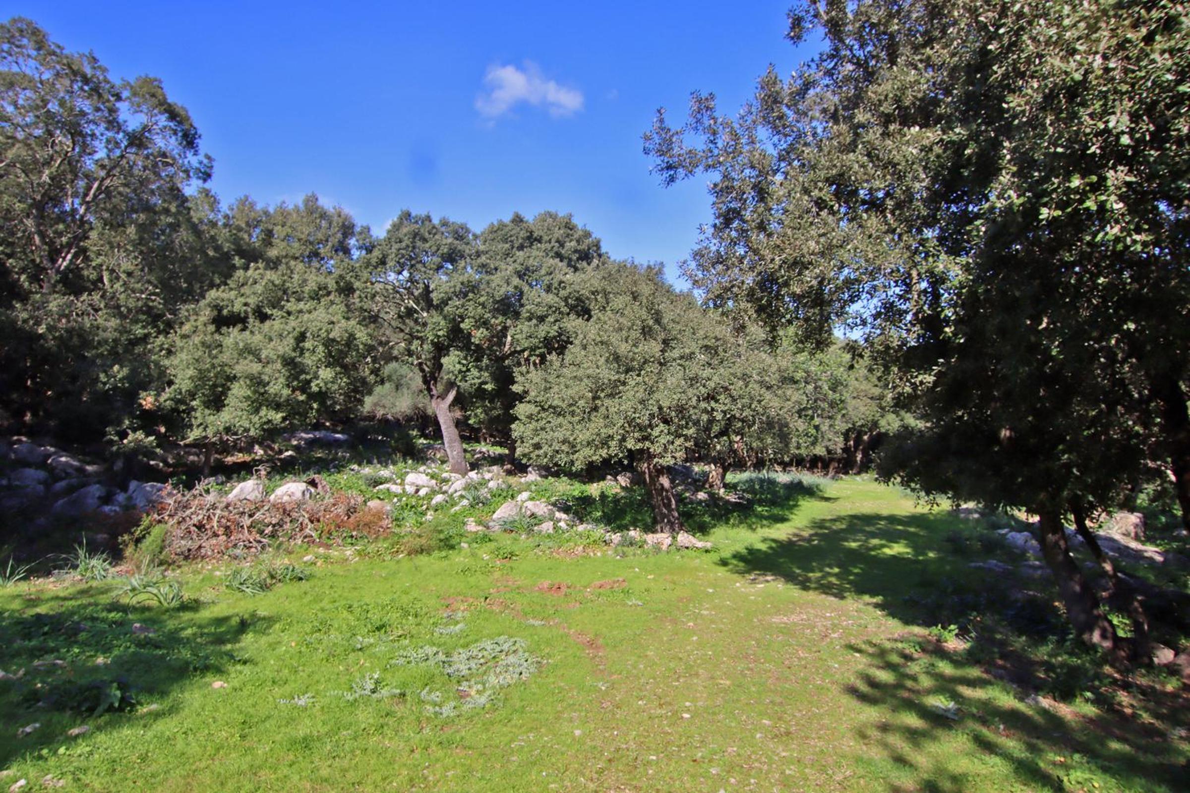 Photo 44