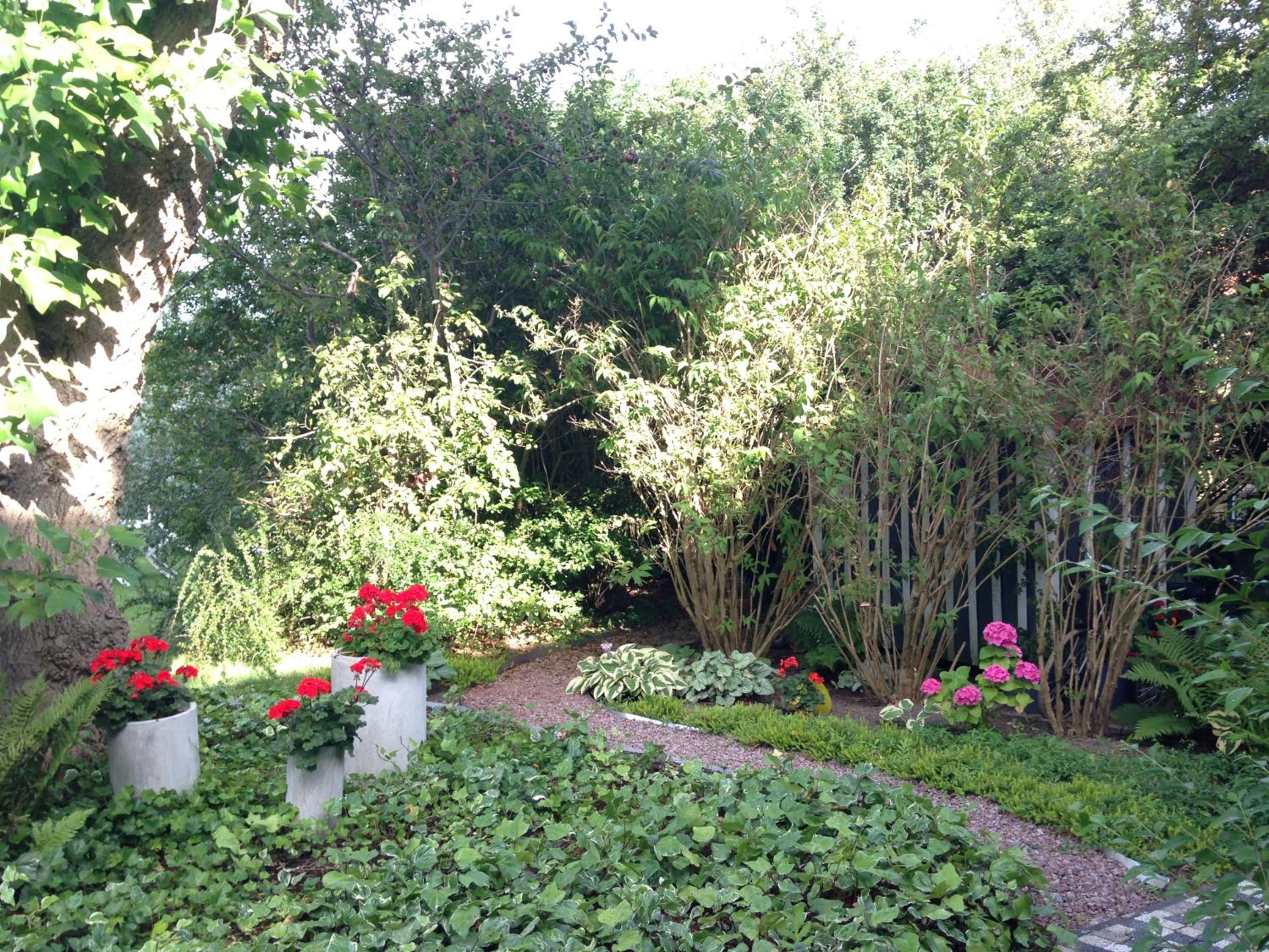 Solrosen i Simrishamn - Österlen